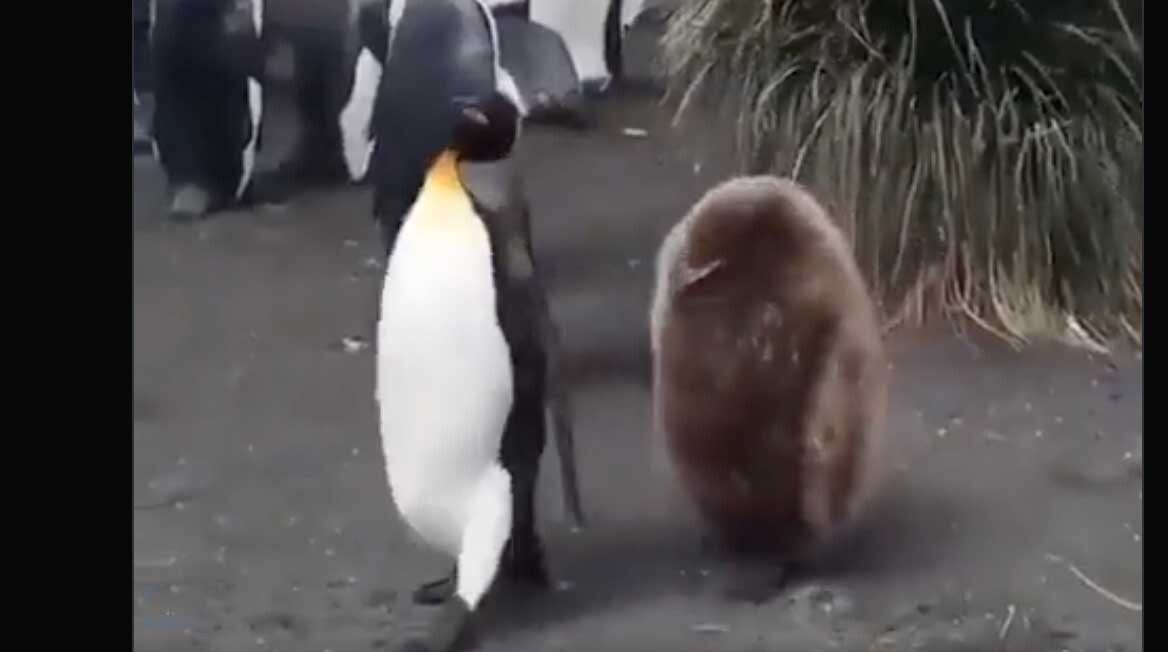 One for road 10 24 22 no play