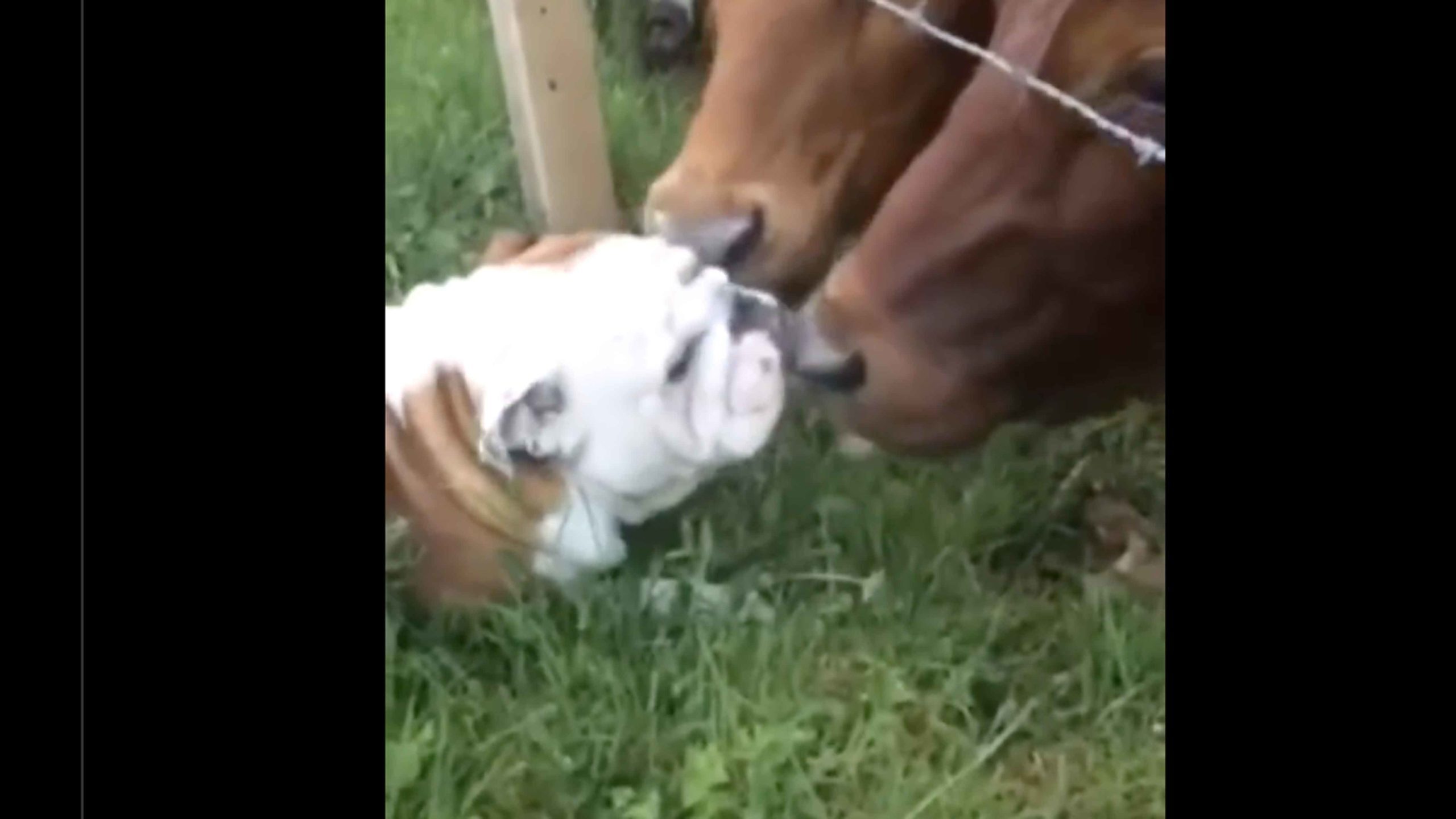 One for road 9 28 22 no play scaled