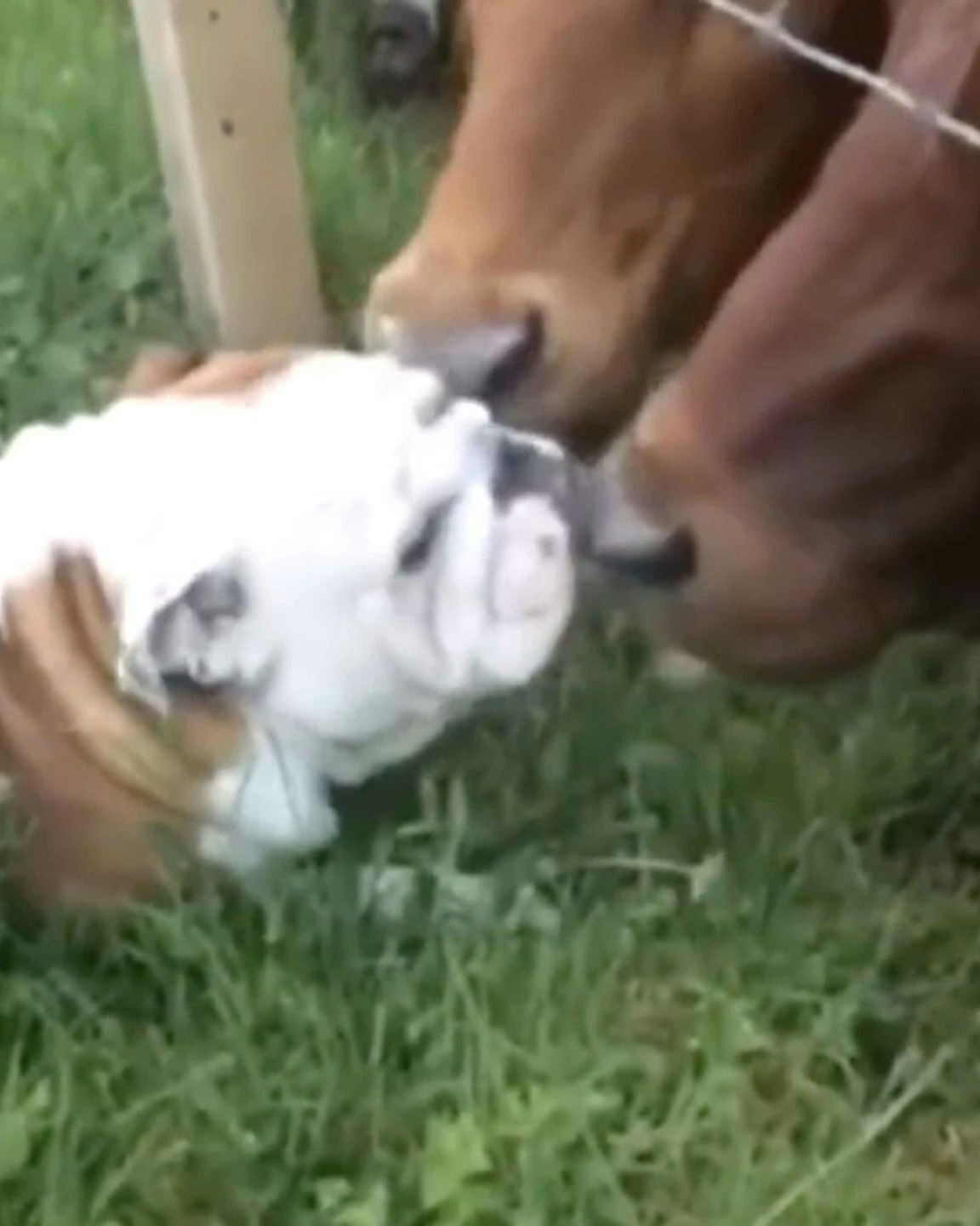 One for road 9 28 22 no play scaled