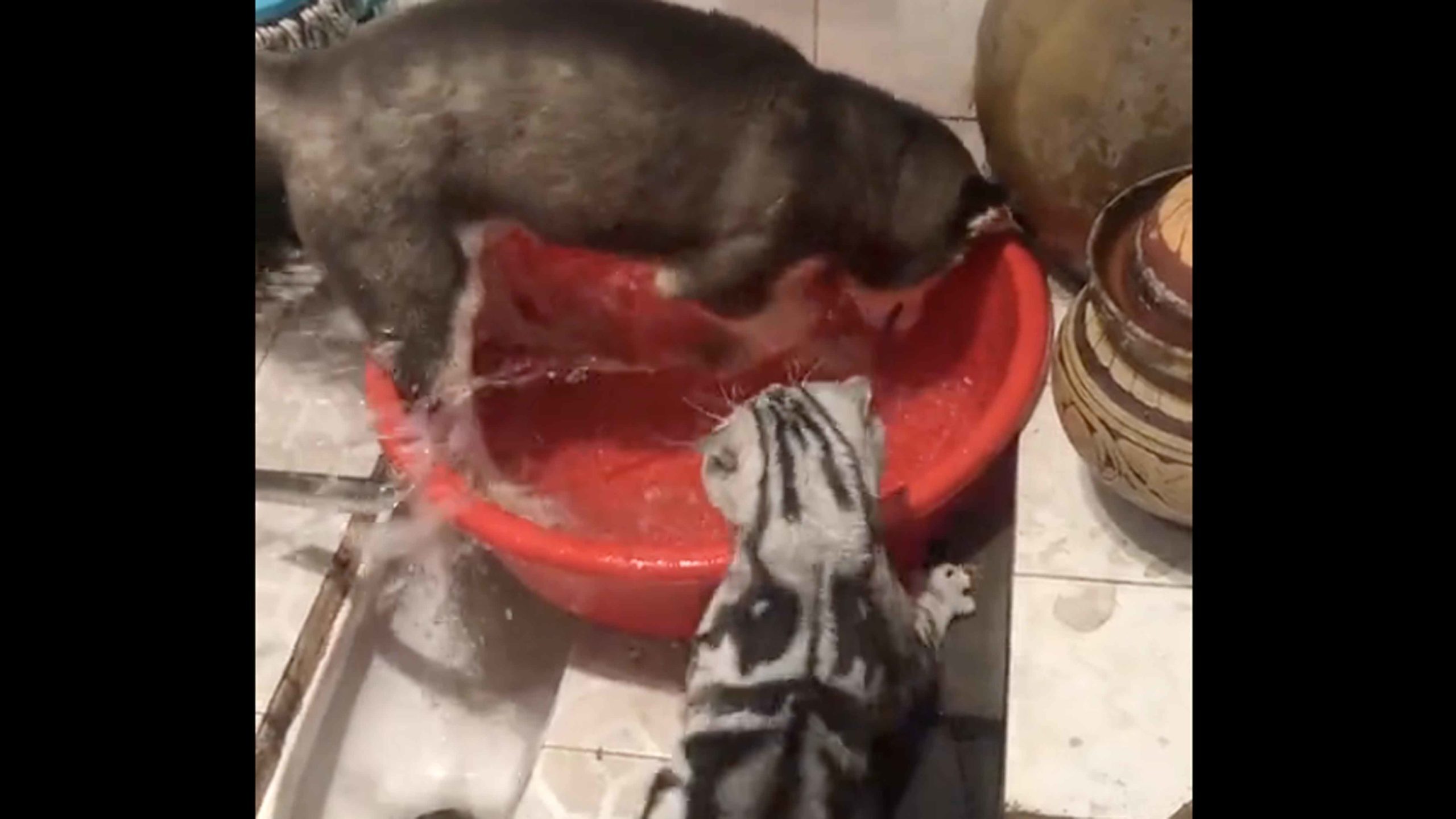 One more for 1 13 23 scaled