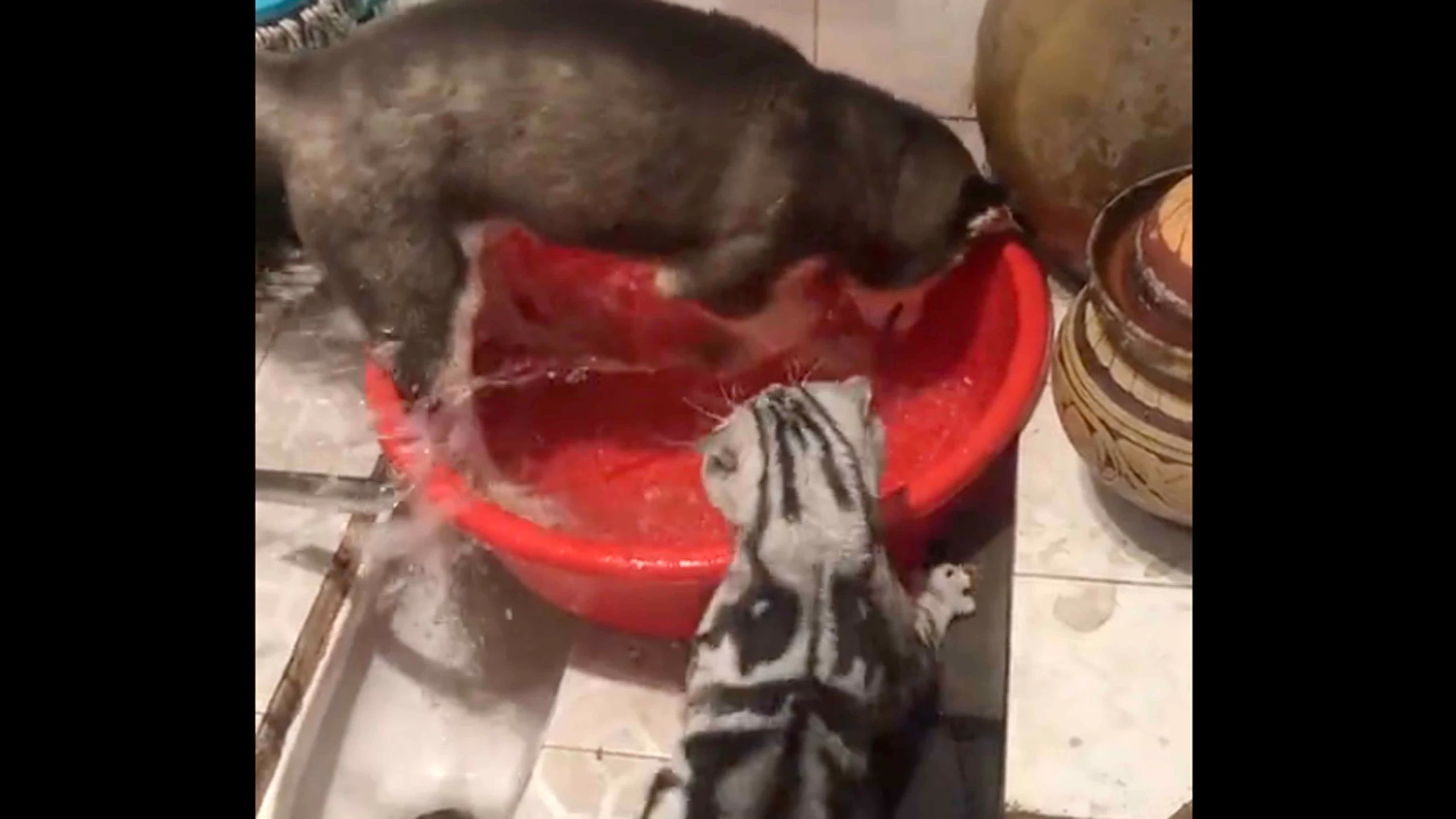 One more for 1 13 23 scaled