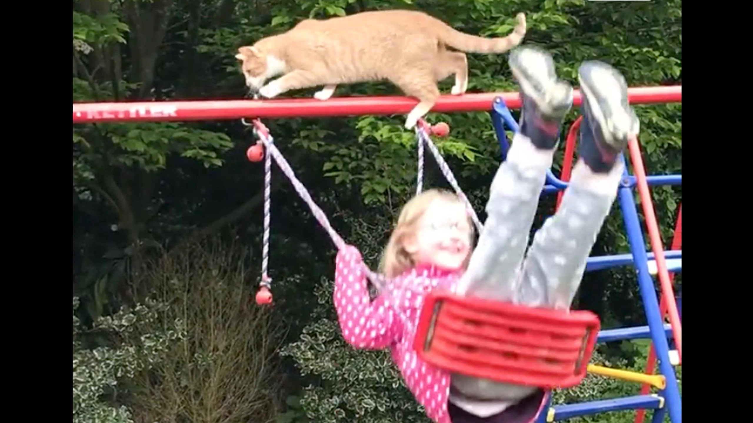 One more for 1 16 23 scaled