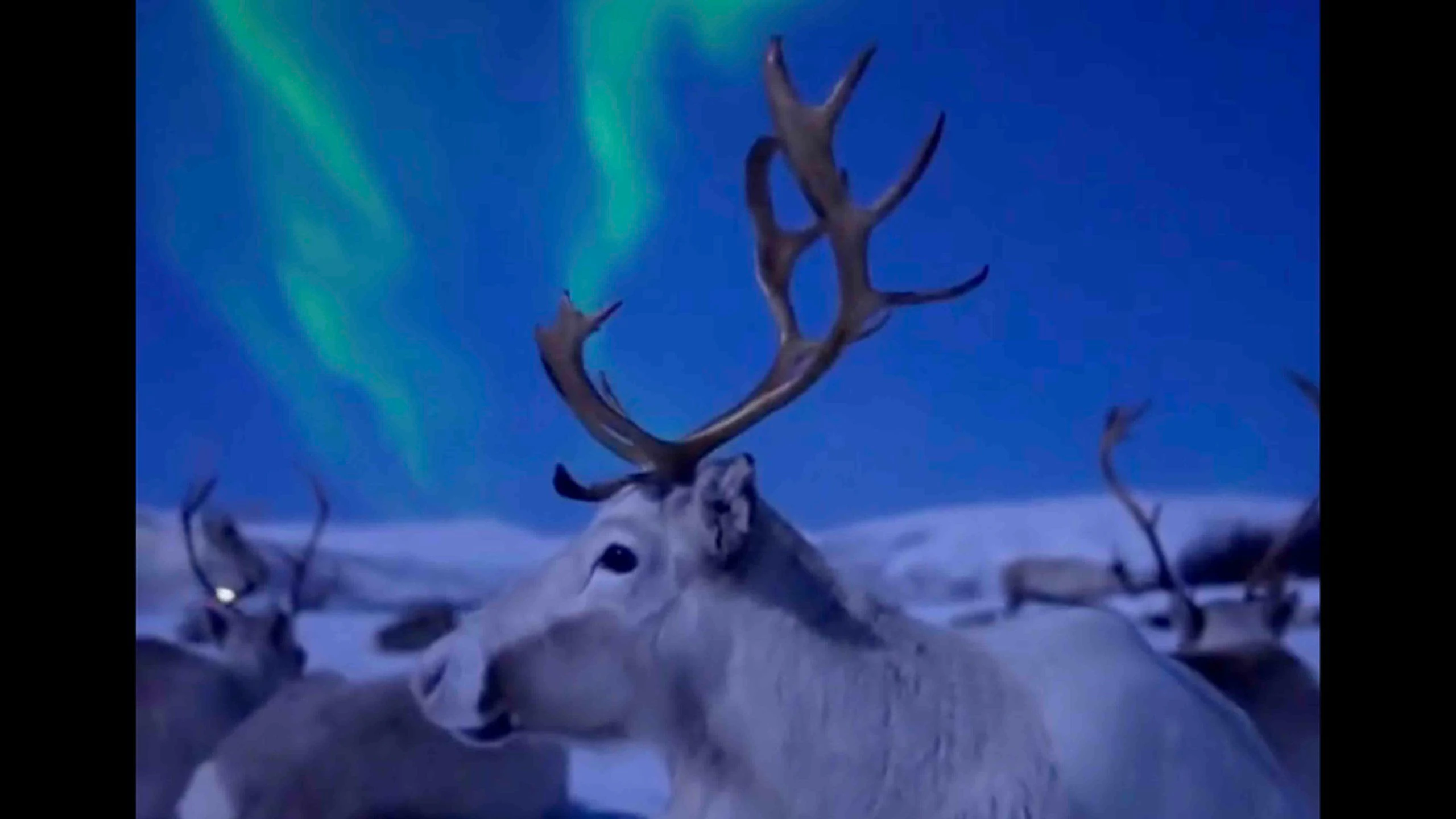 One more for 1 17 23 scaled