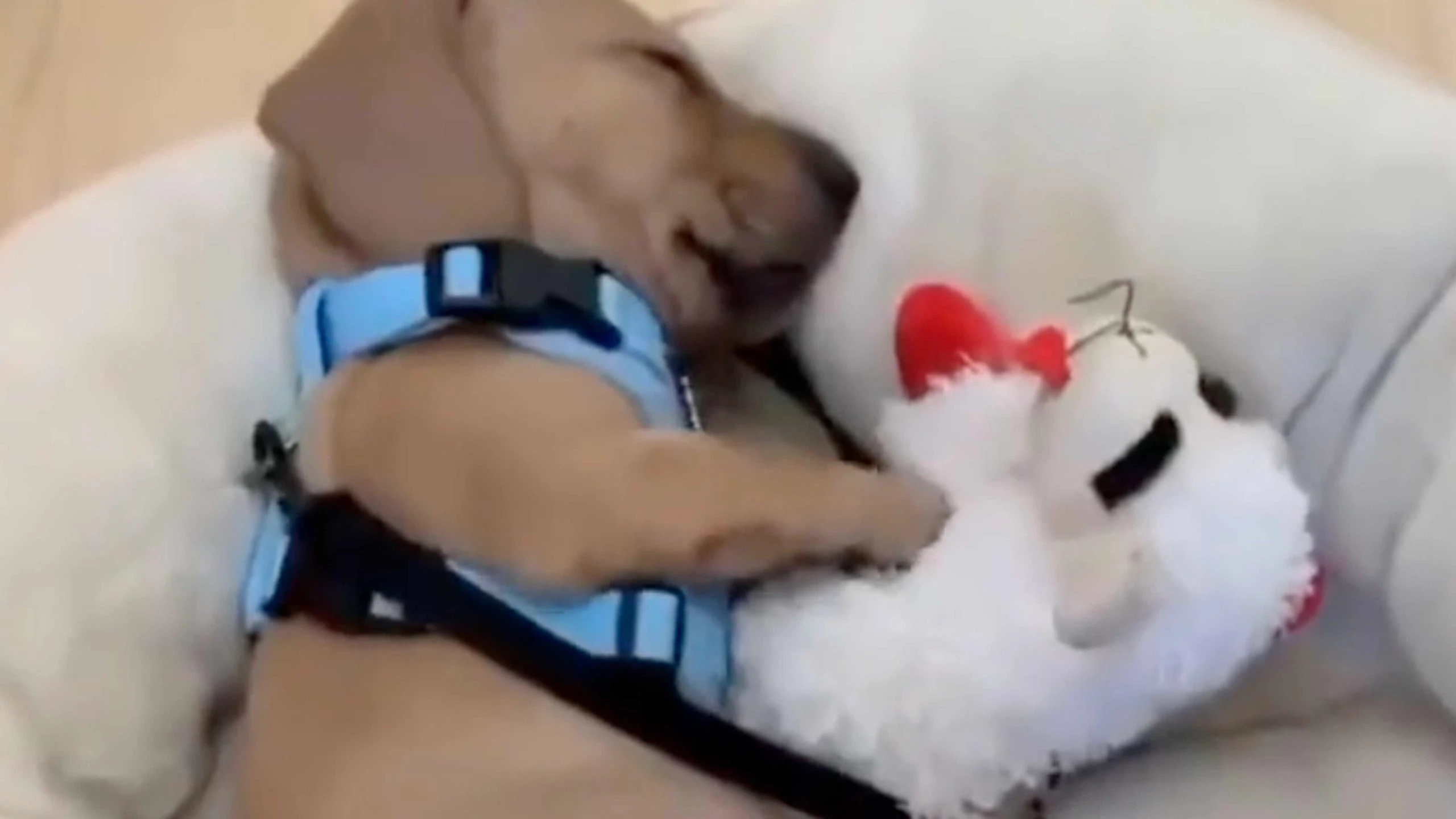 One more for 1 18 23 scaled