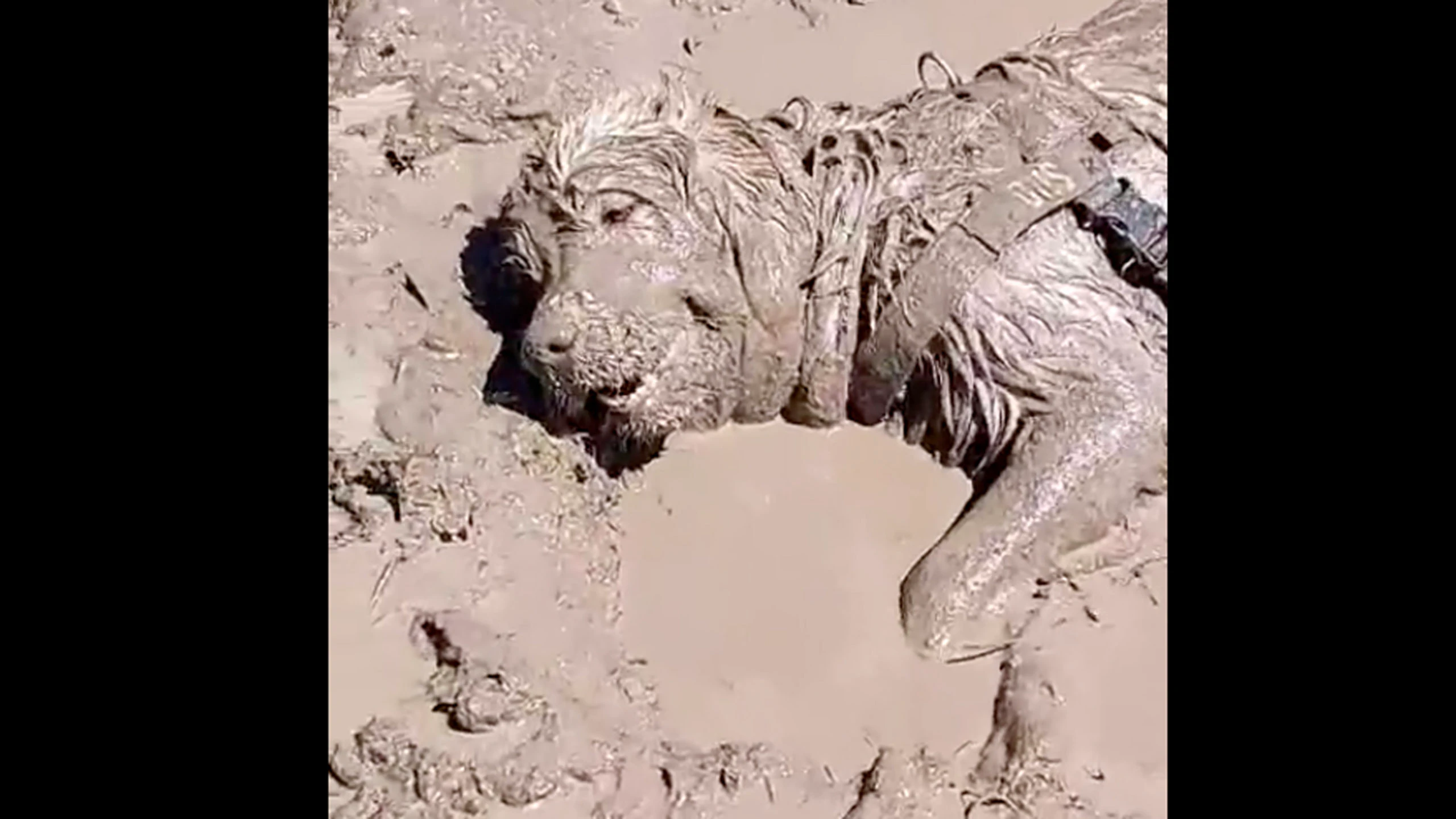 One more for 1 19 23 scaled