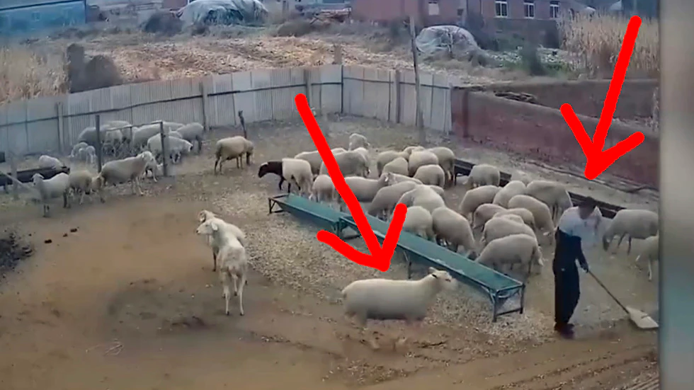 One more for 1 23 23