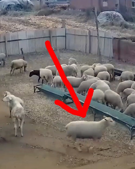 One more for 1 23 23