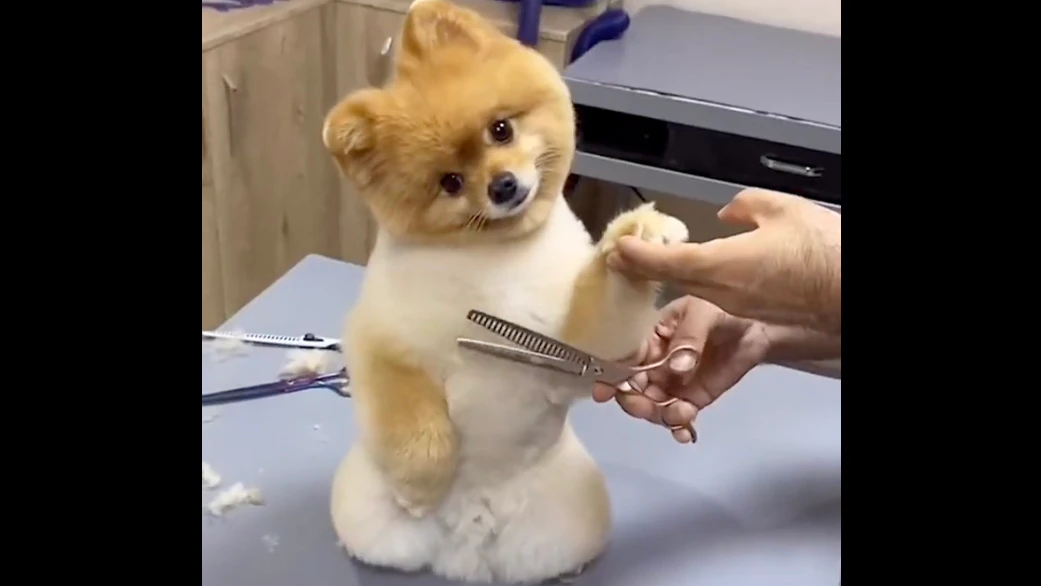 One more for 1 26 23