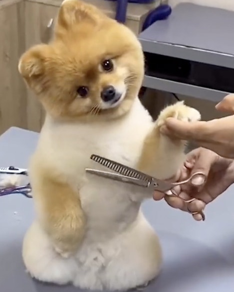 One more for 1 26 23