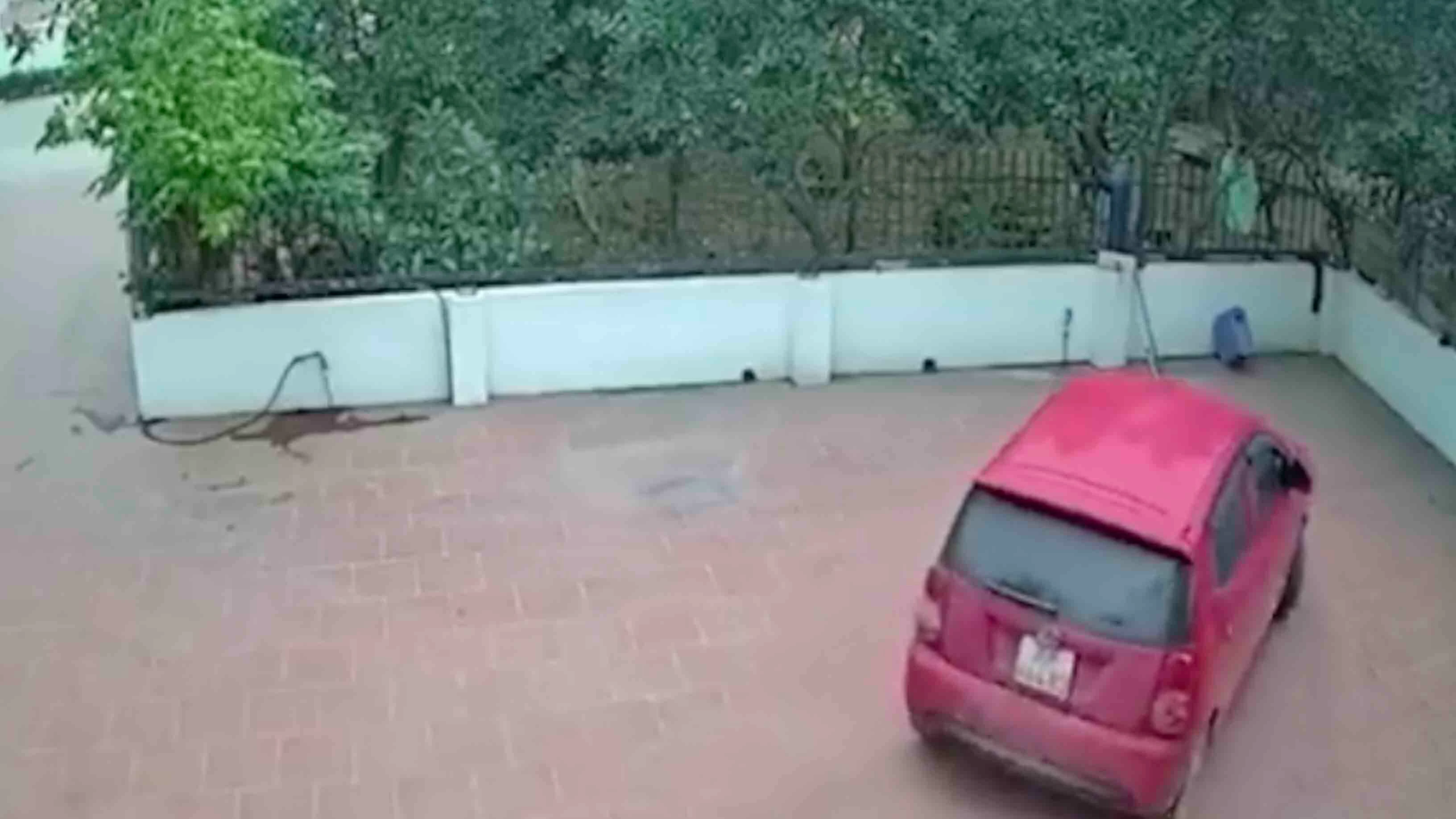 One more for 10 11 23