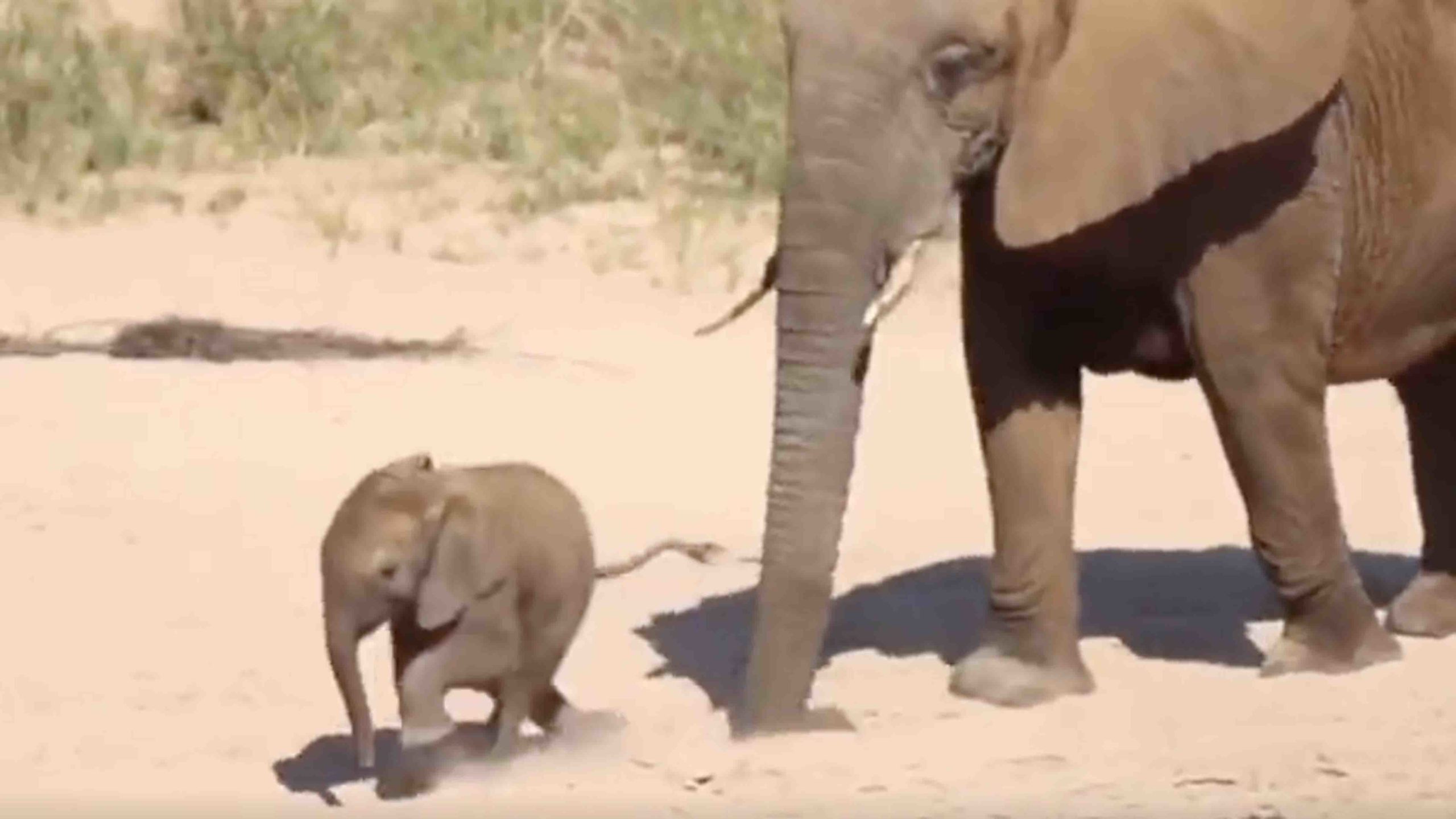 One more for 10 27 22 no play scaled