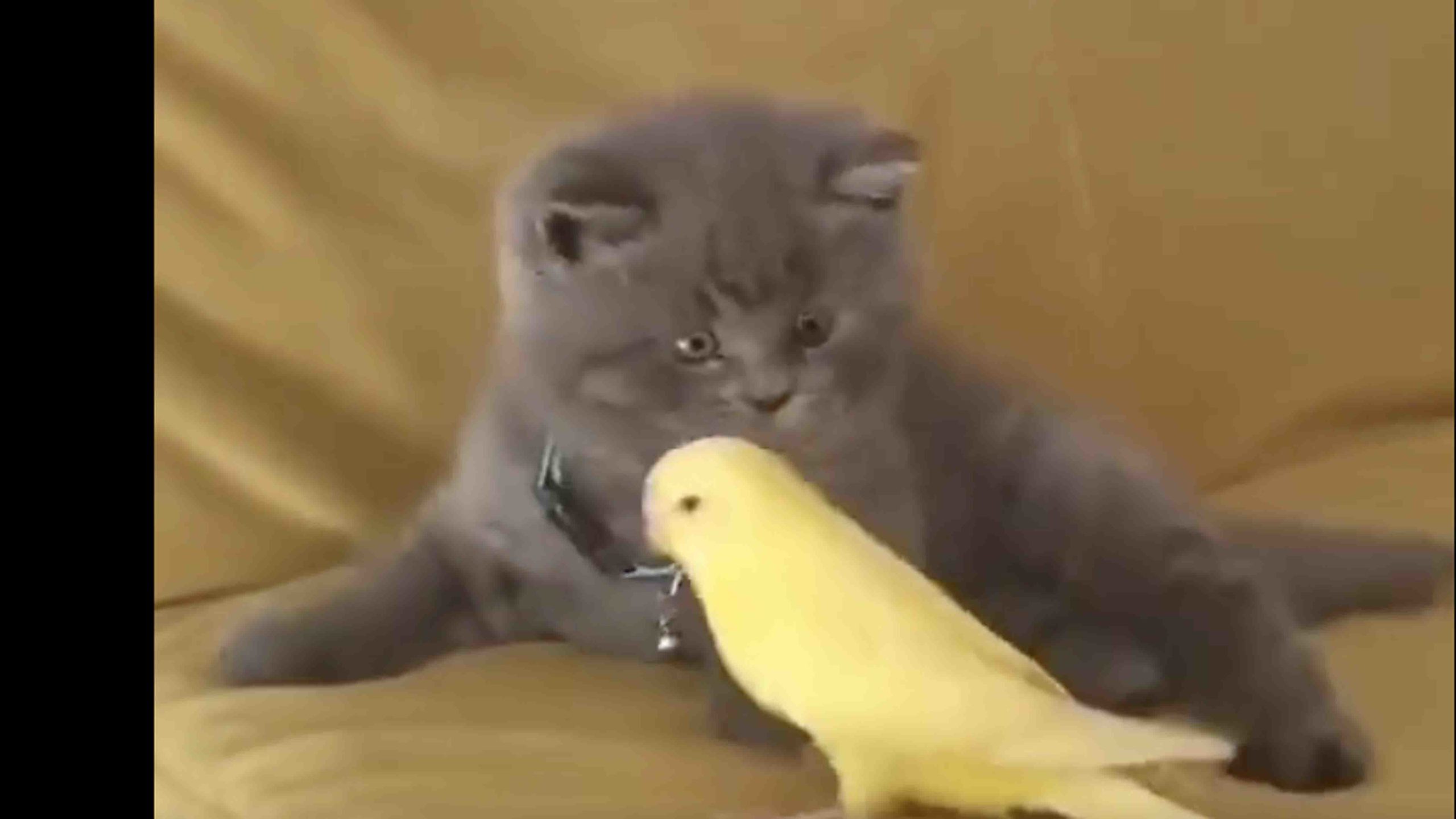 One more for 11 11 22 scaled