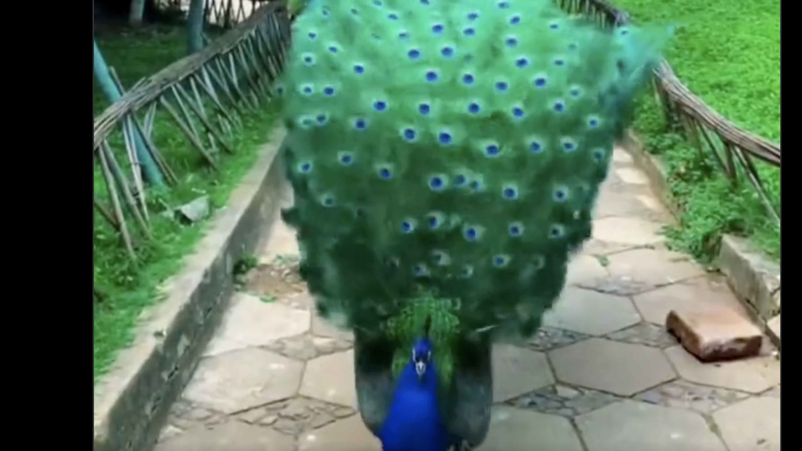 One more for 11 23 22 scaled