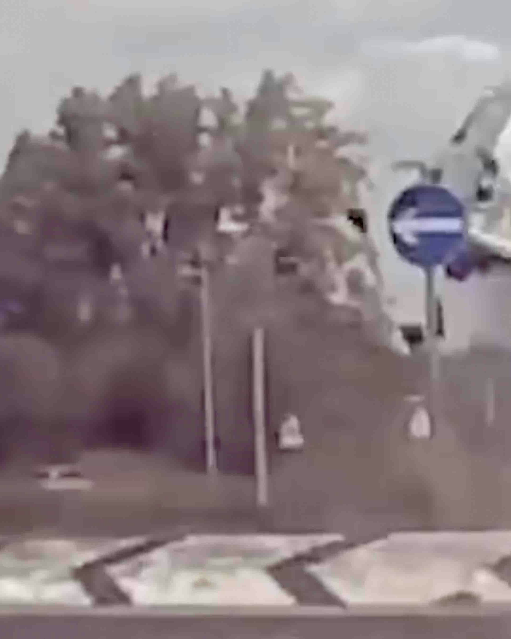 One more for 11 3 23