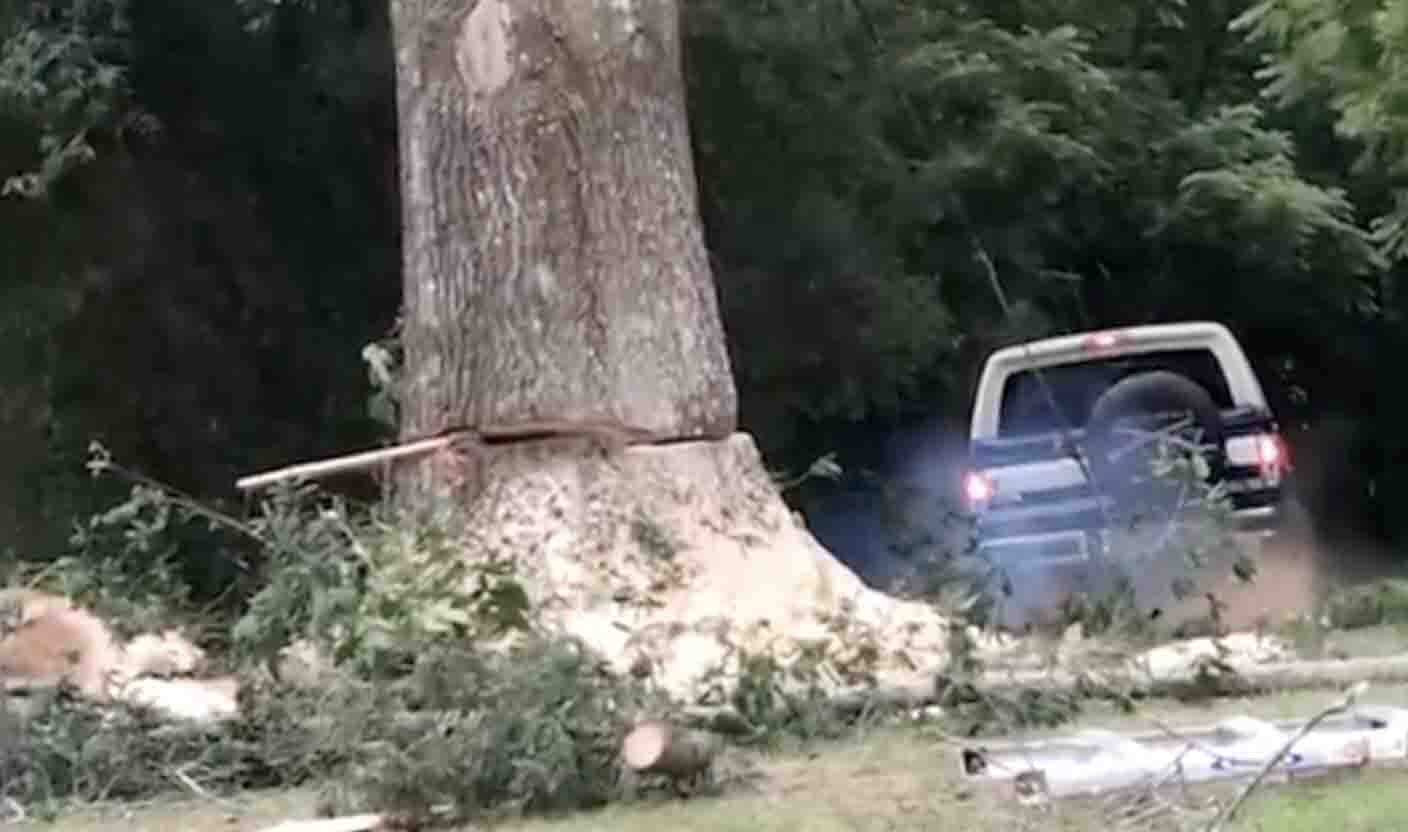 One more for 11 3 25