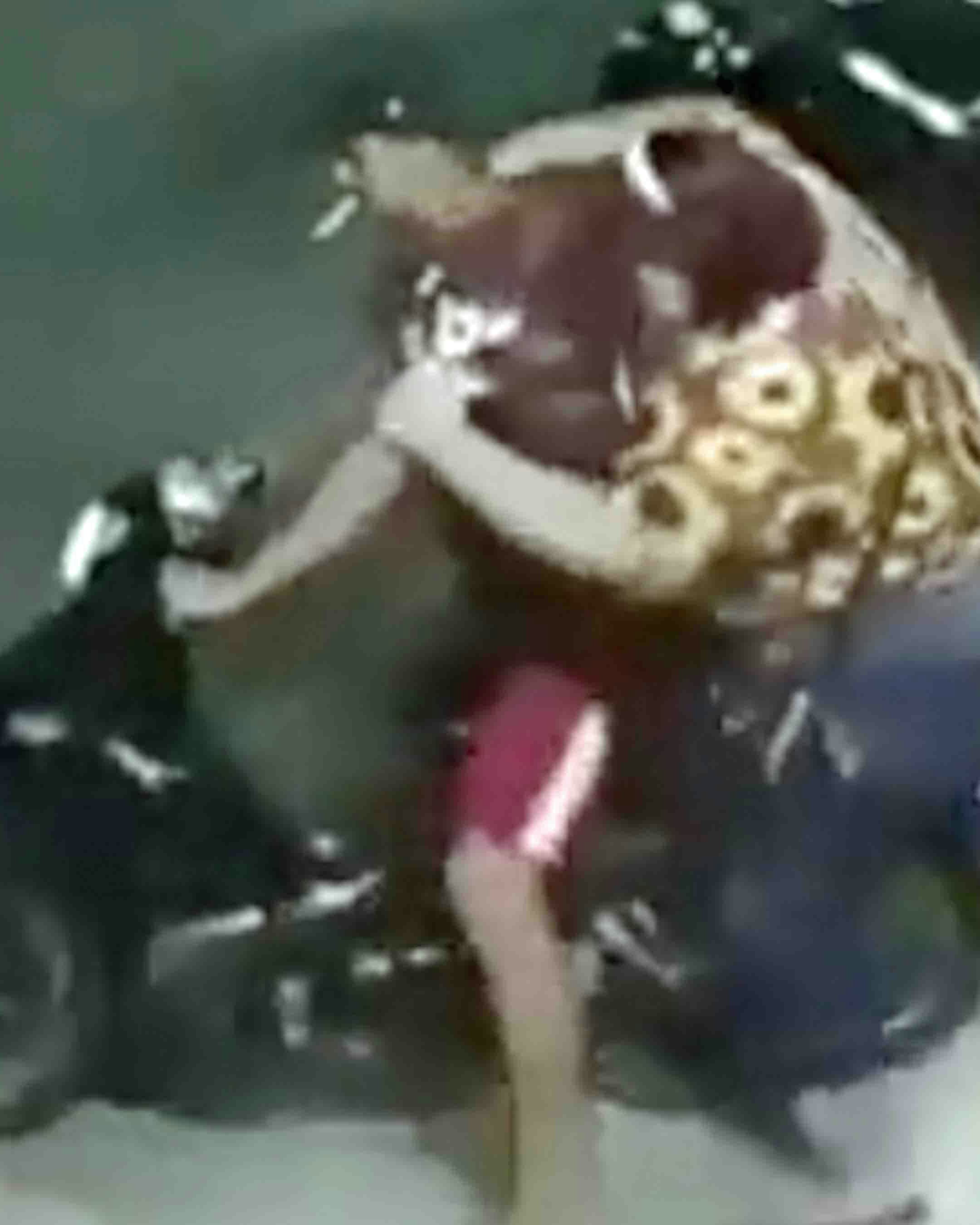 One more for 11 8 23