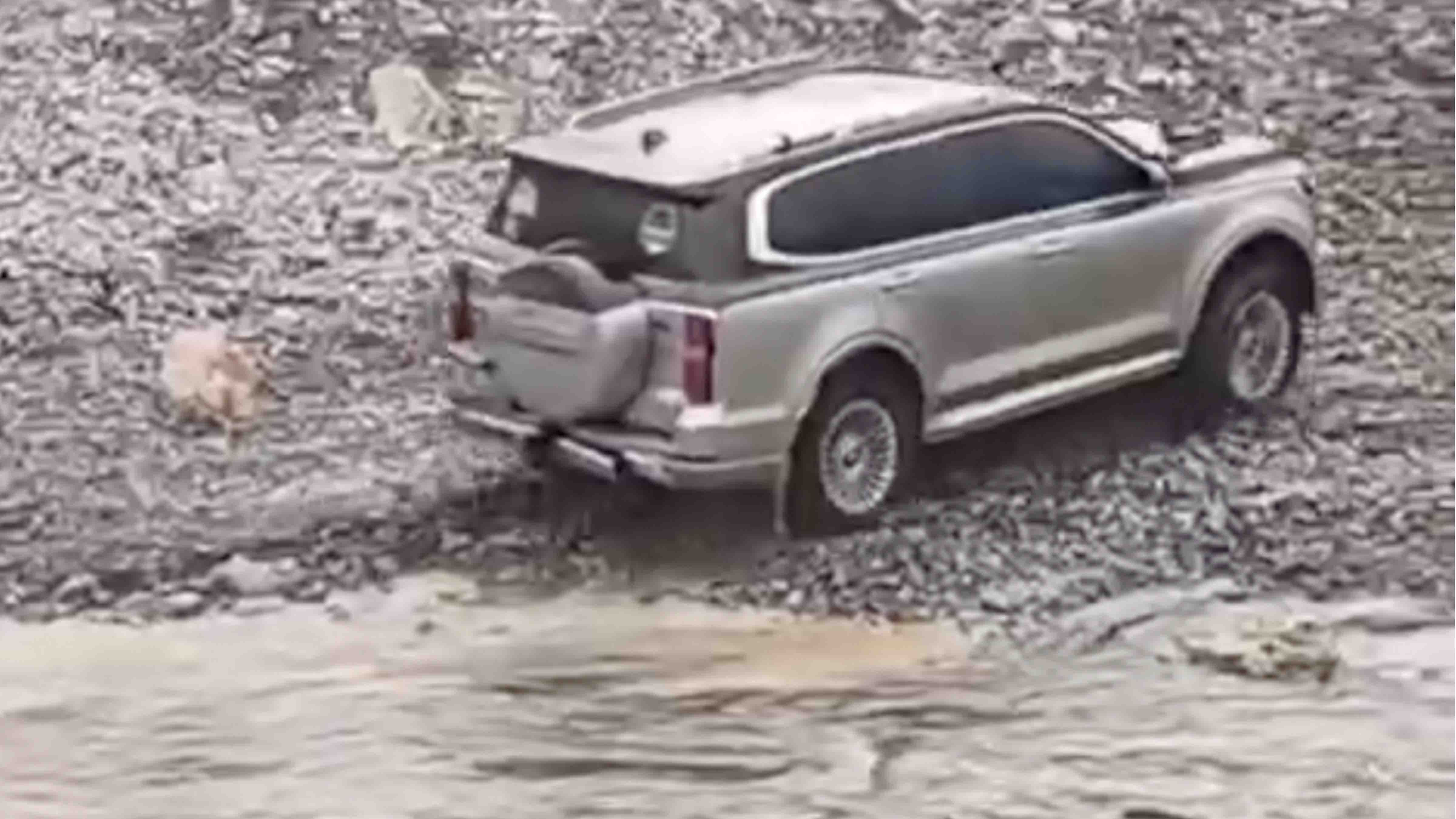 One more for 12 18 25