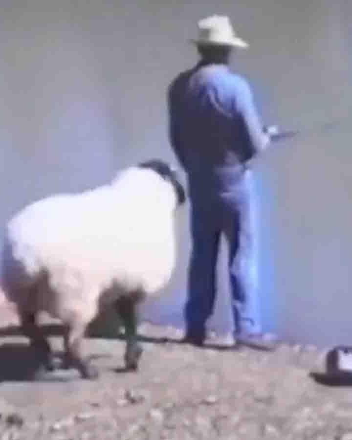 One more for 12 20 23