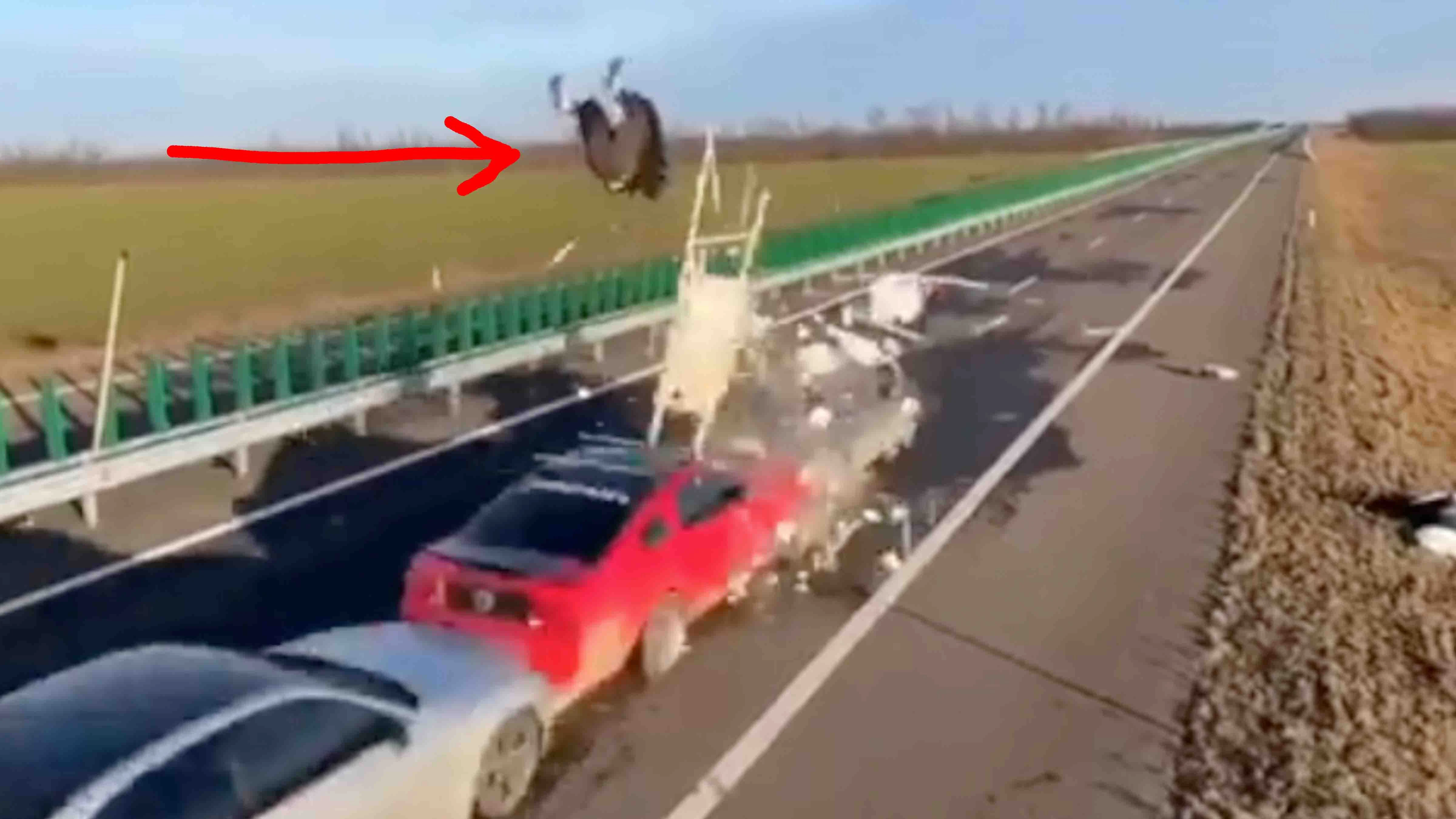 One more for 12 23 23