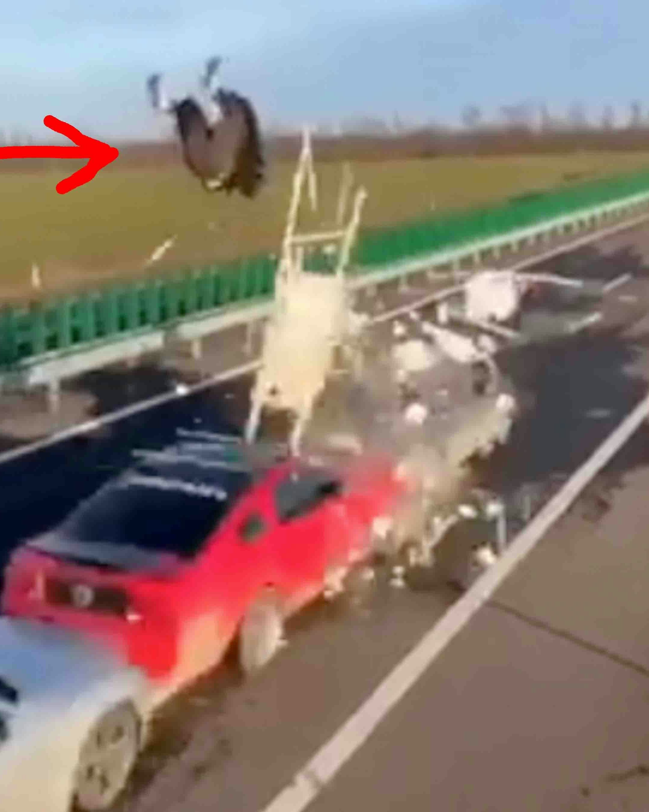 One more for 12 23 23