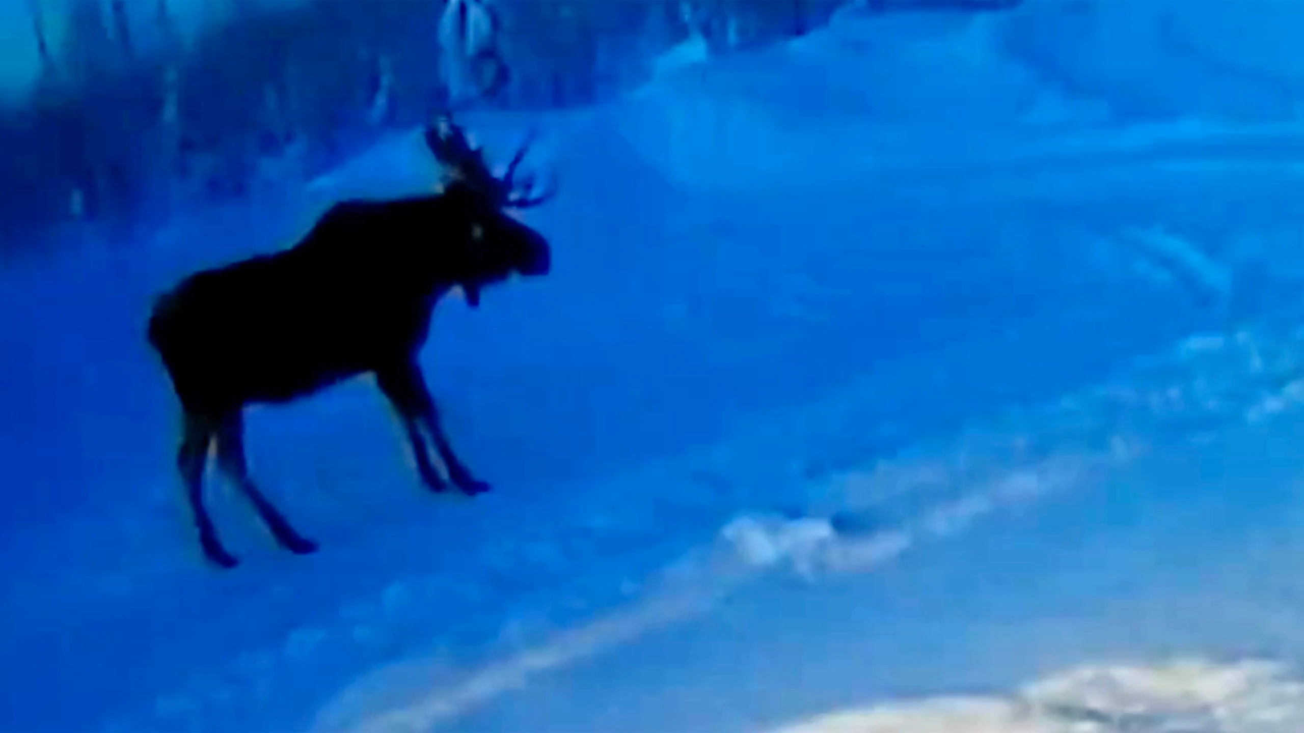 One more for 12 28 22 scaled