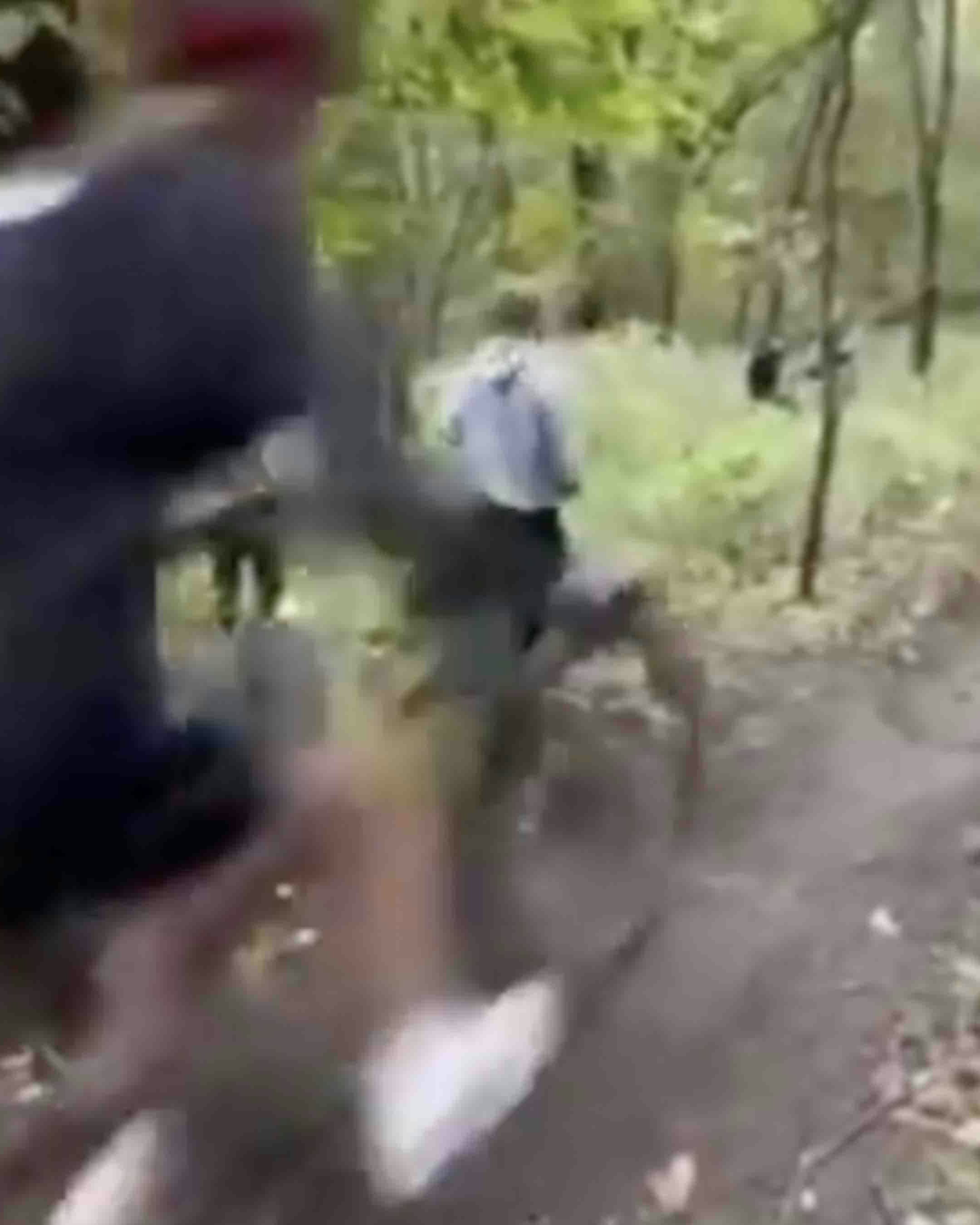 One more for 12 5 23