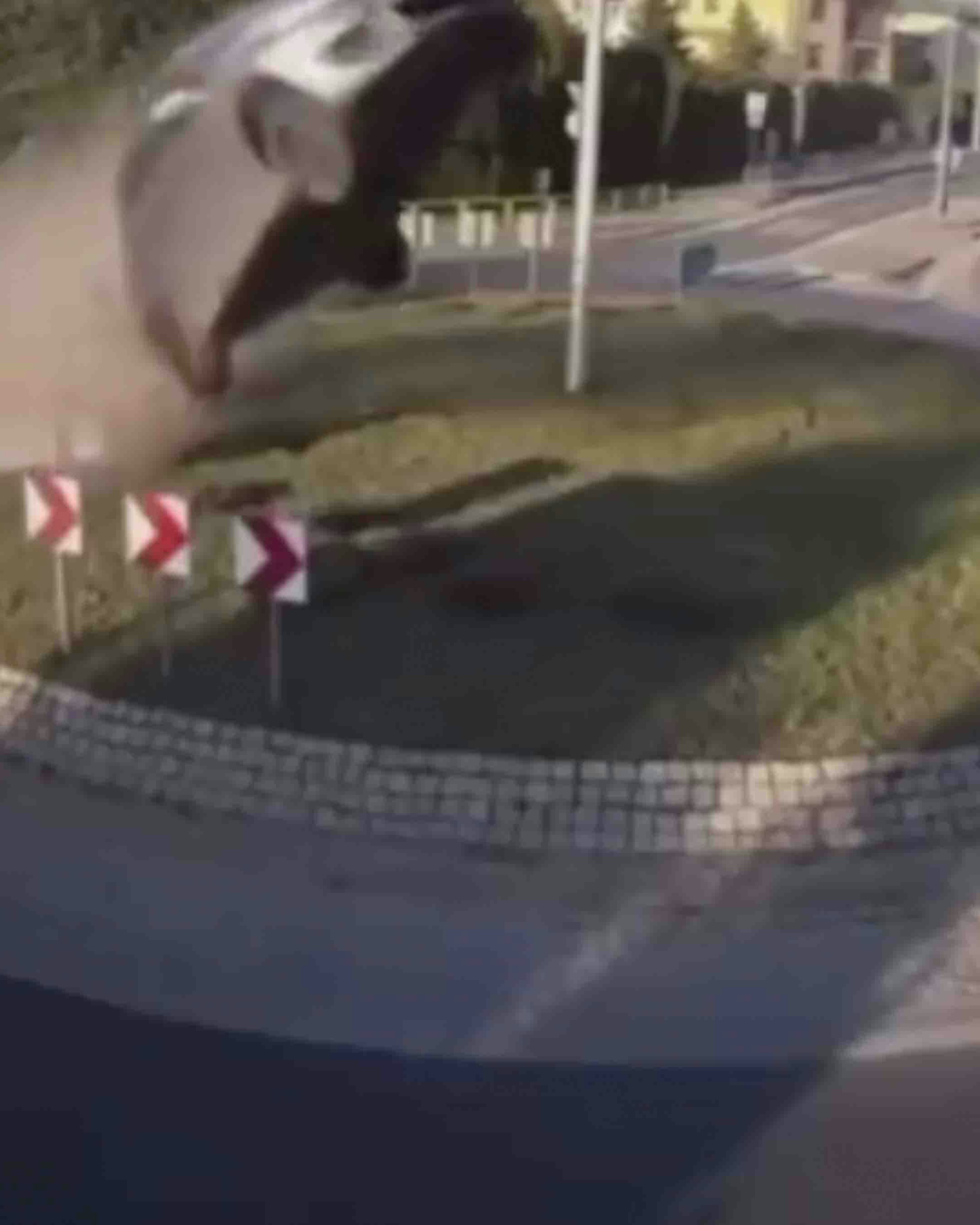 One more for 12 7 23