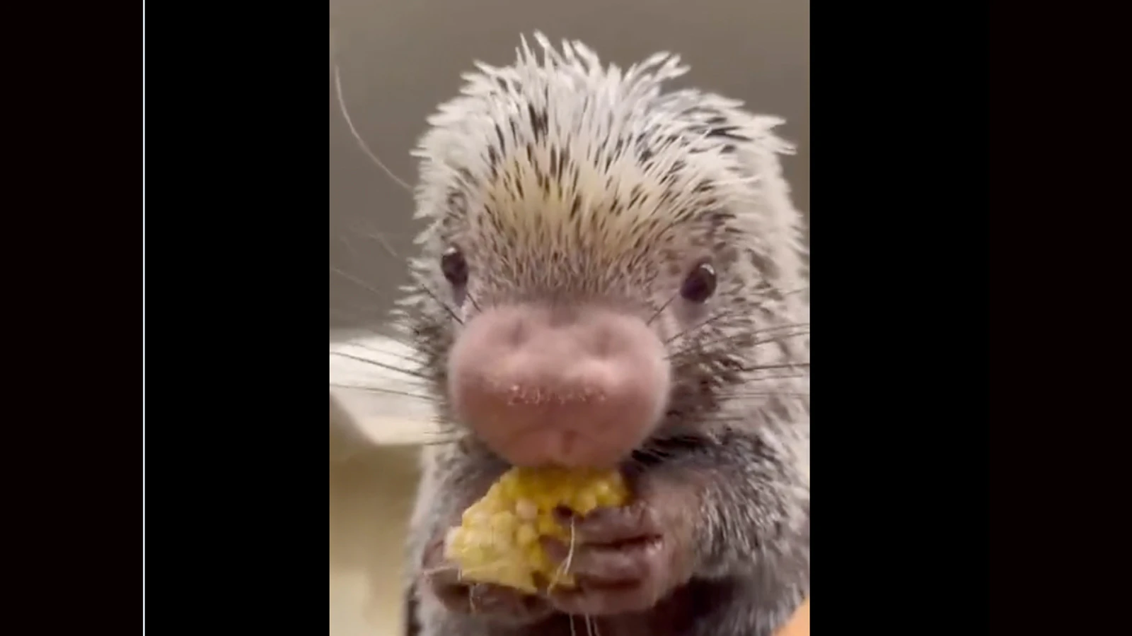 One more for 2 12 23