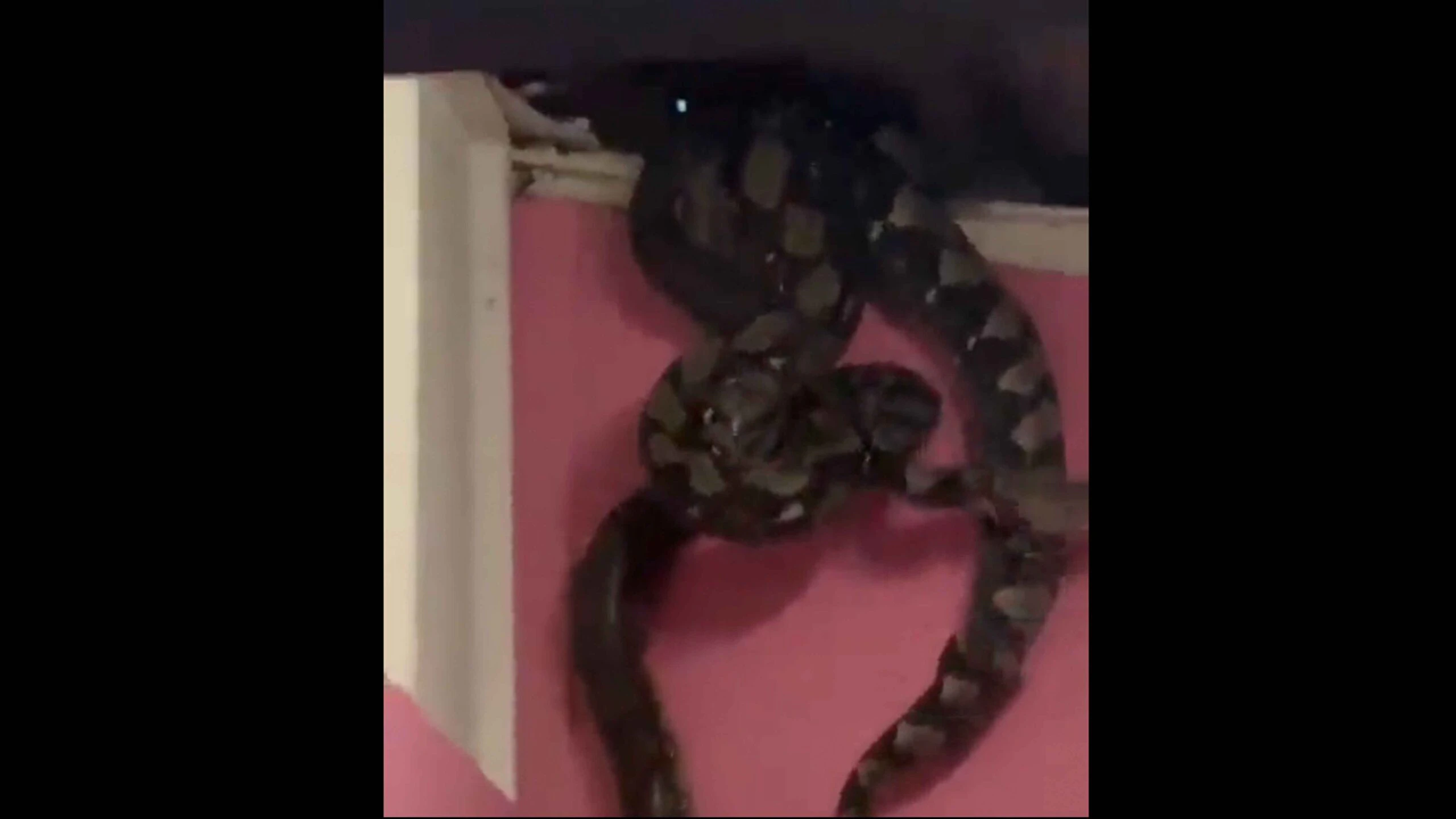 One more for 2 14 23 scaled