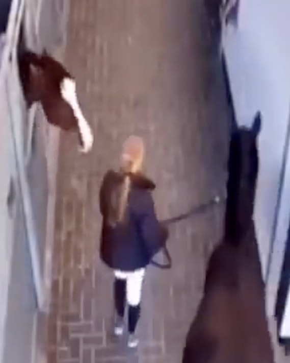 One more for 2 23 23