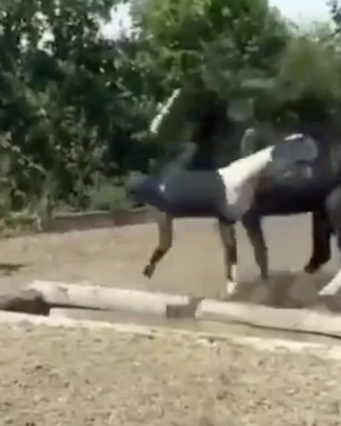 One more for 4 17 23