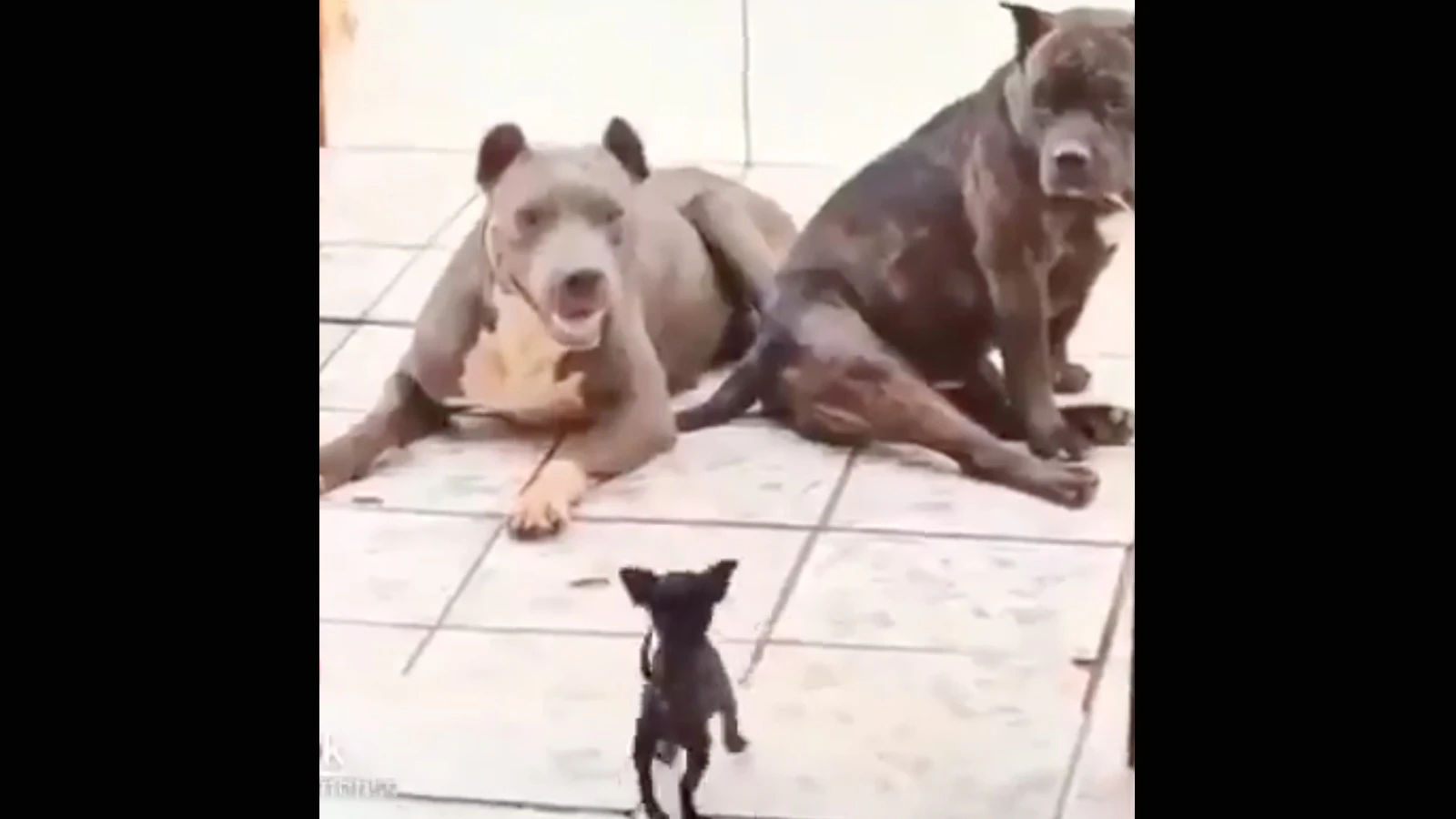 One more for 4 21 23