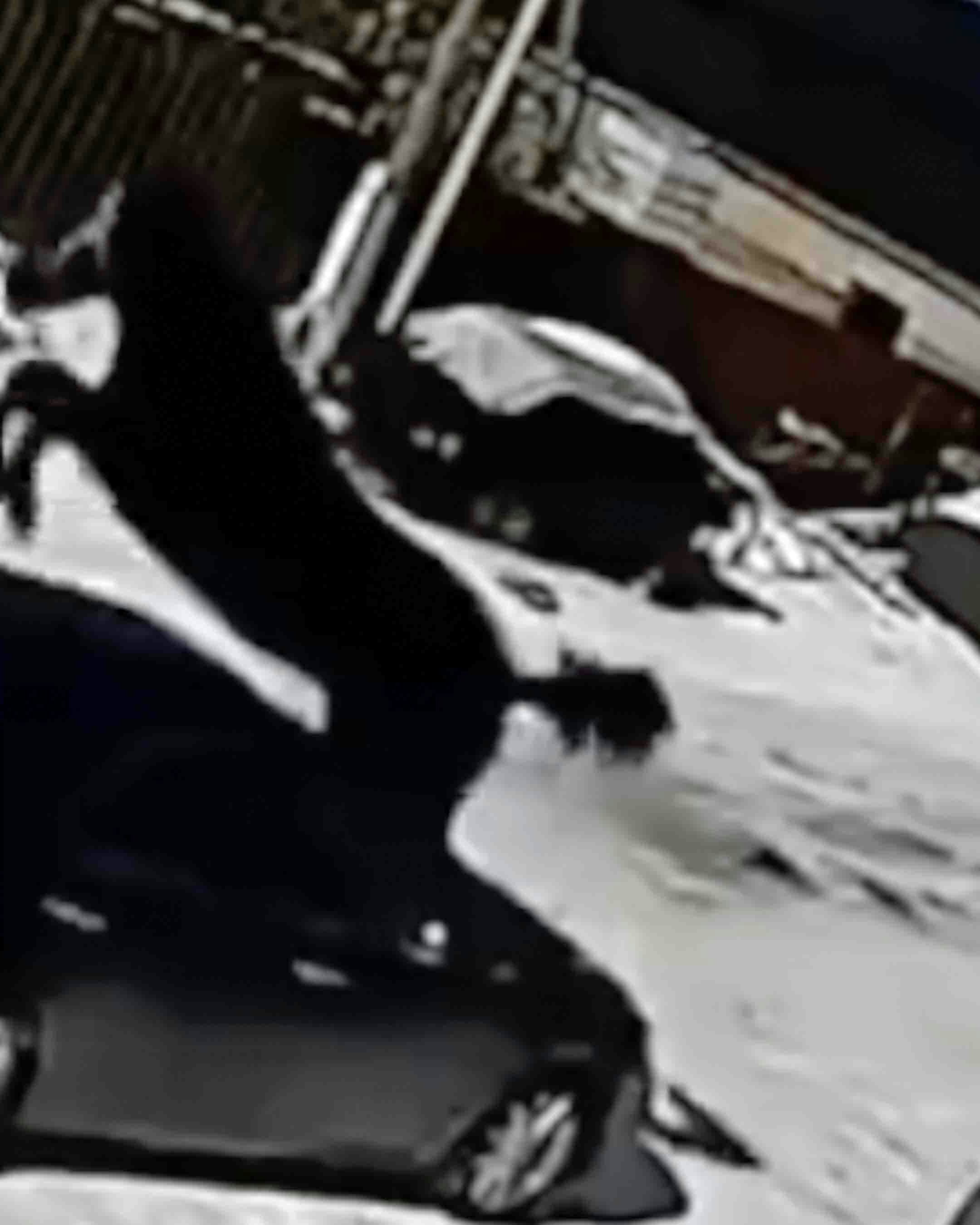 One more for 4 26 24