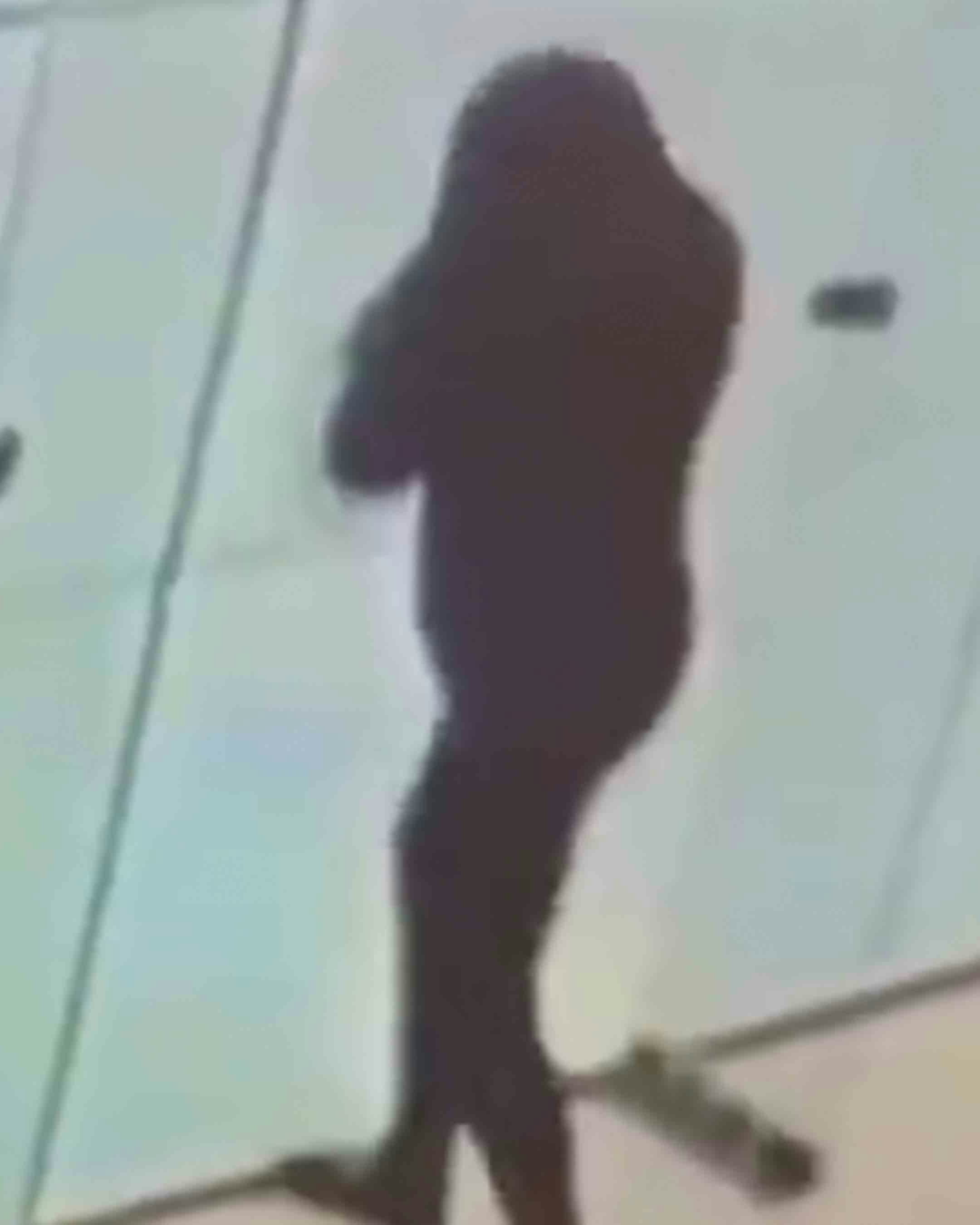 One more for 4 27 23