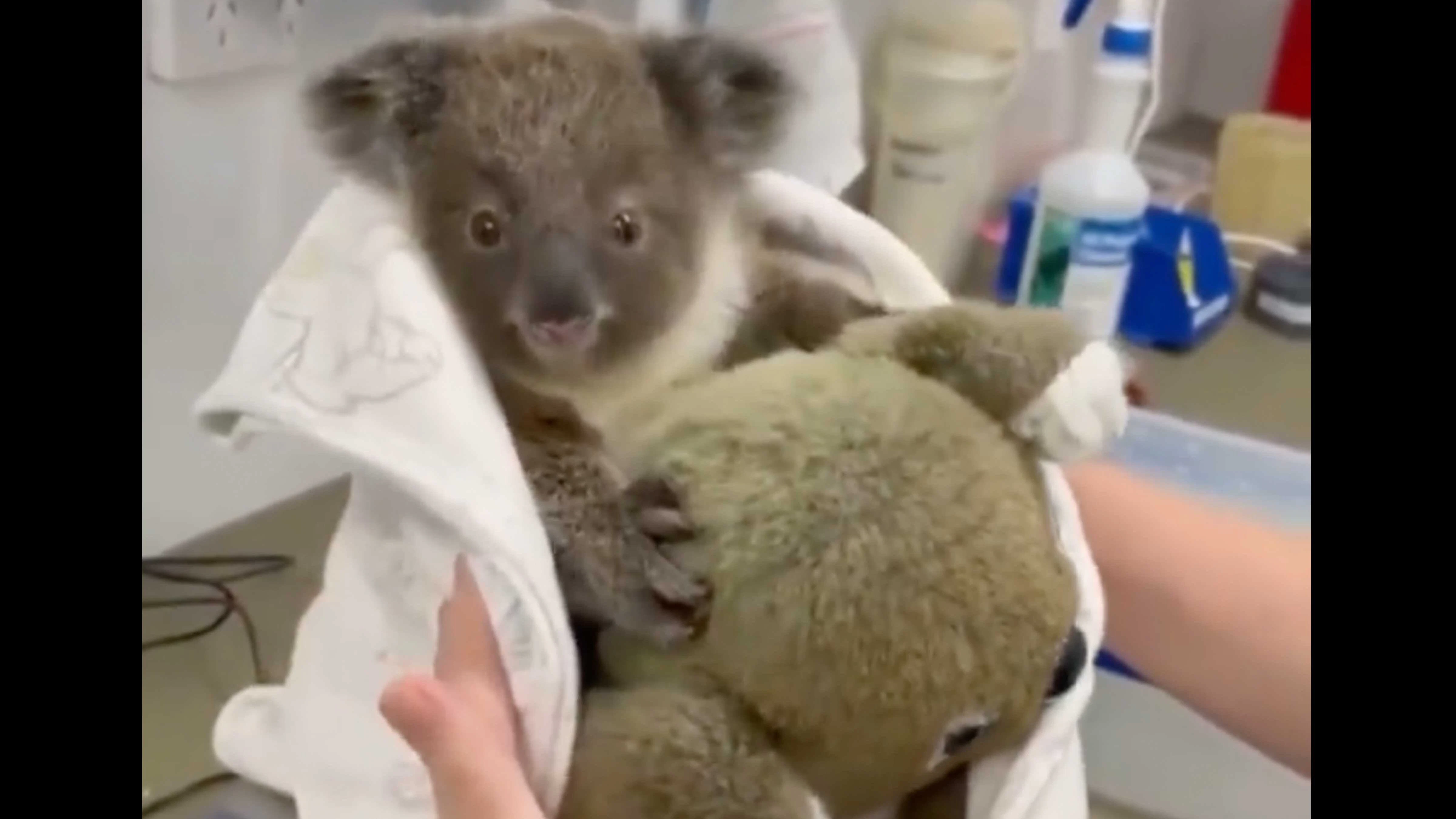 One more for 5 10 23