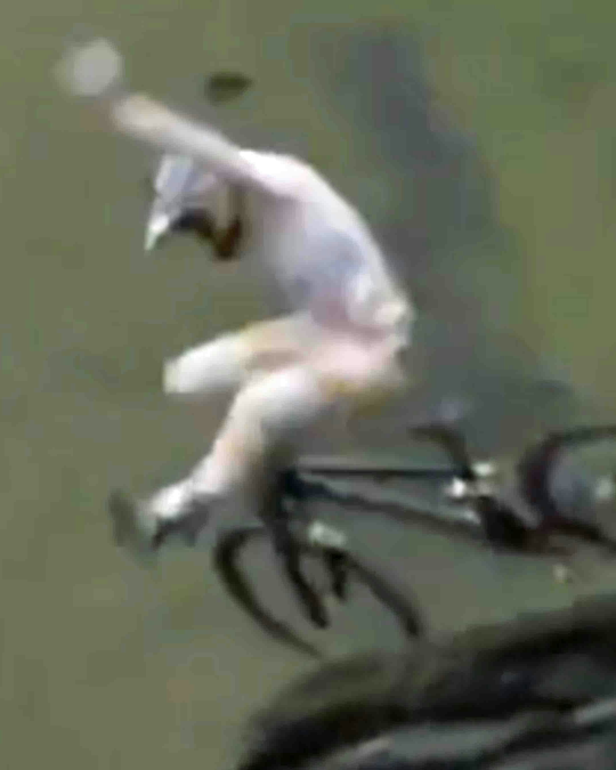 One more for 5 20 24