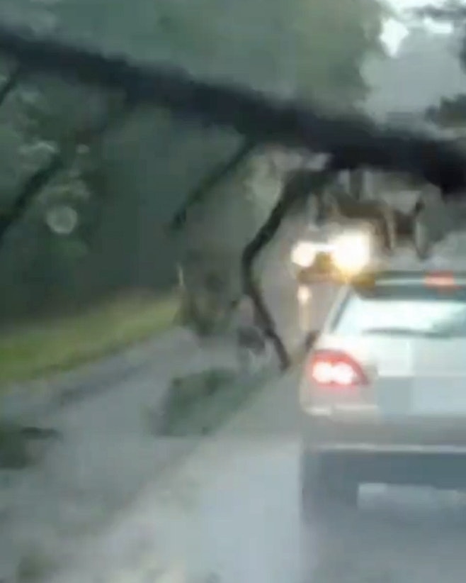 One more for 5 29 23