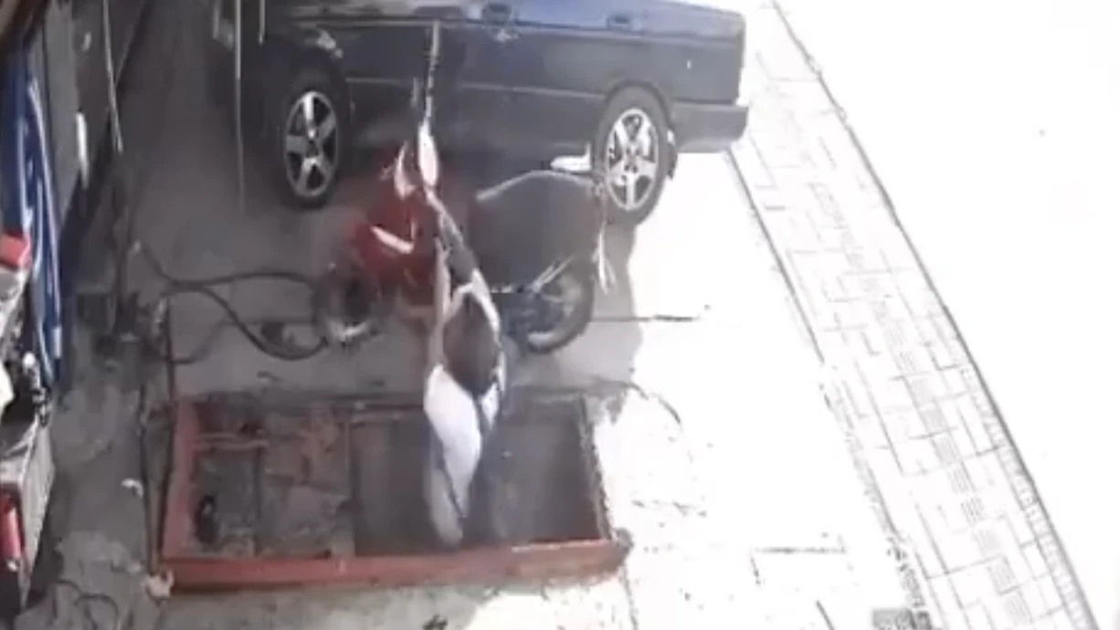 One more for 6 26 23