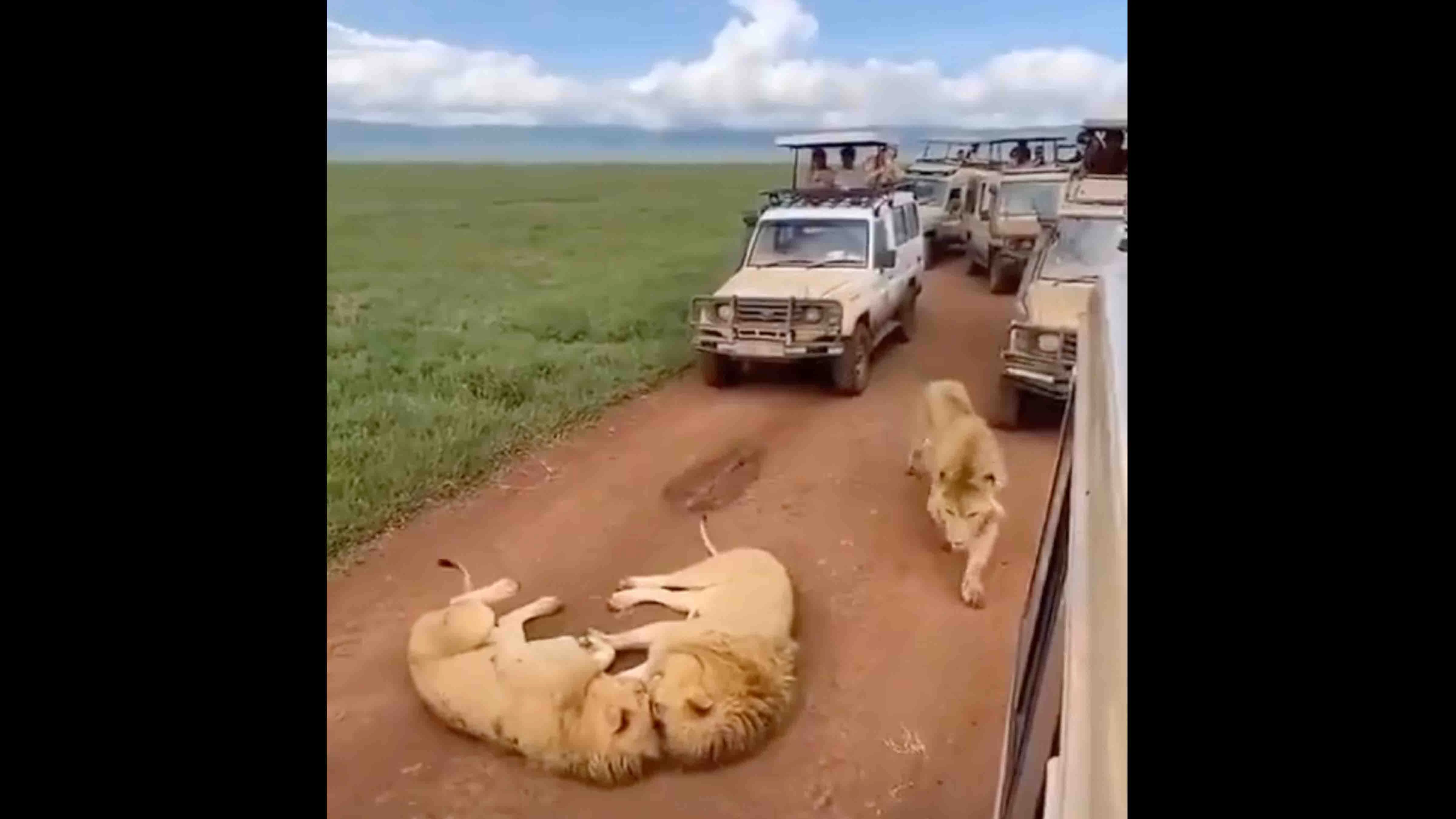 One more for 6 28 23