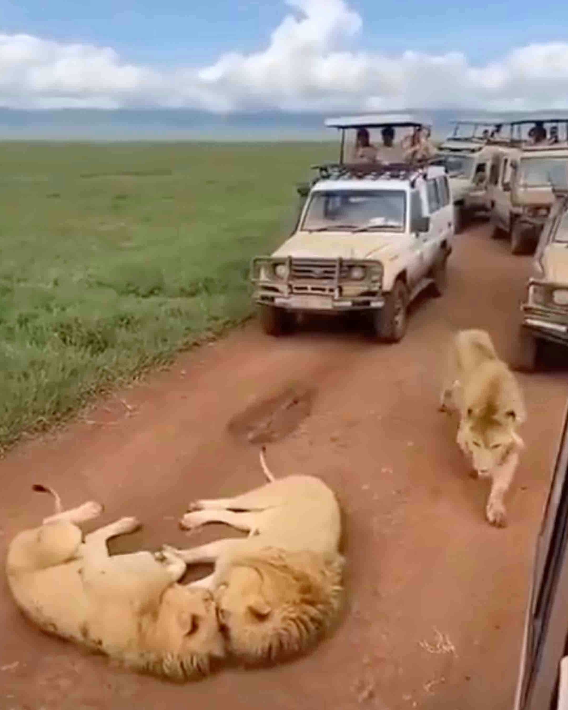 One more for 6 28 23