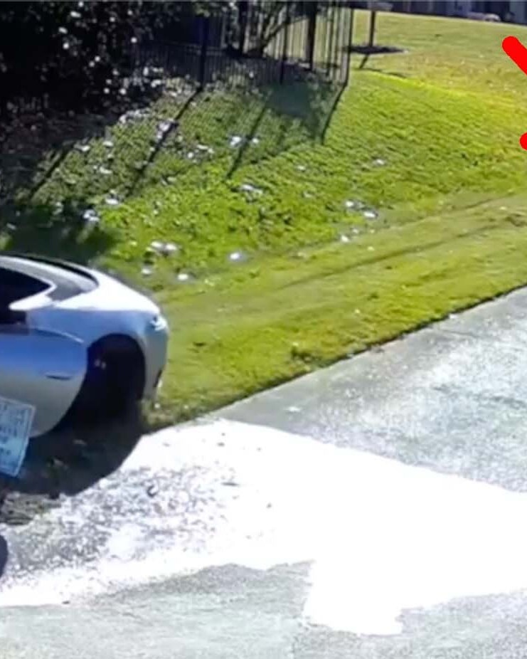 One more for 8 25 25 v2