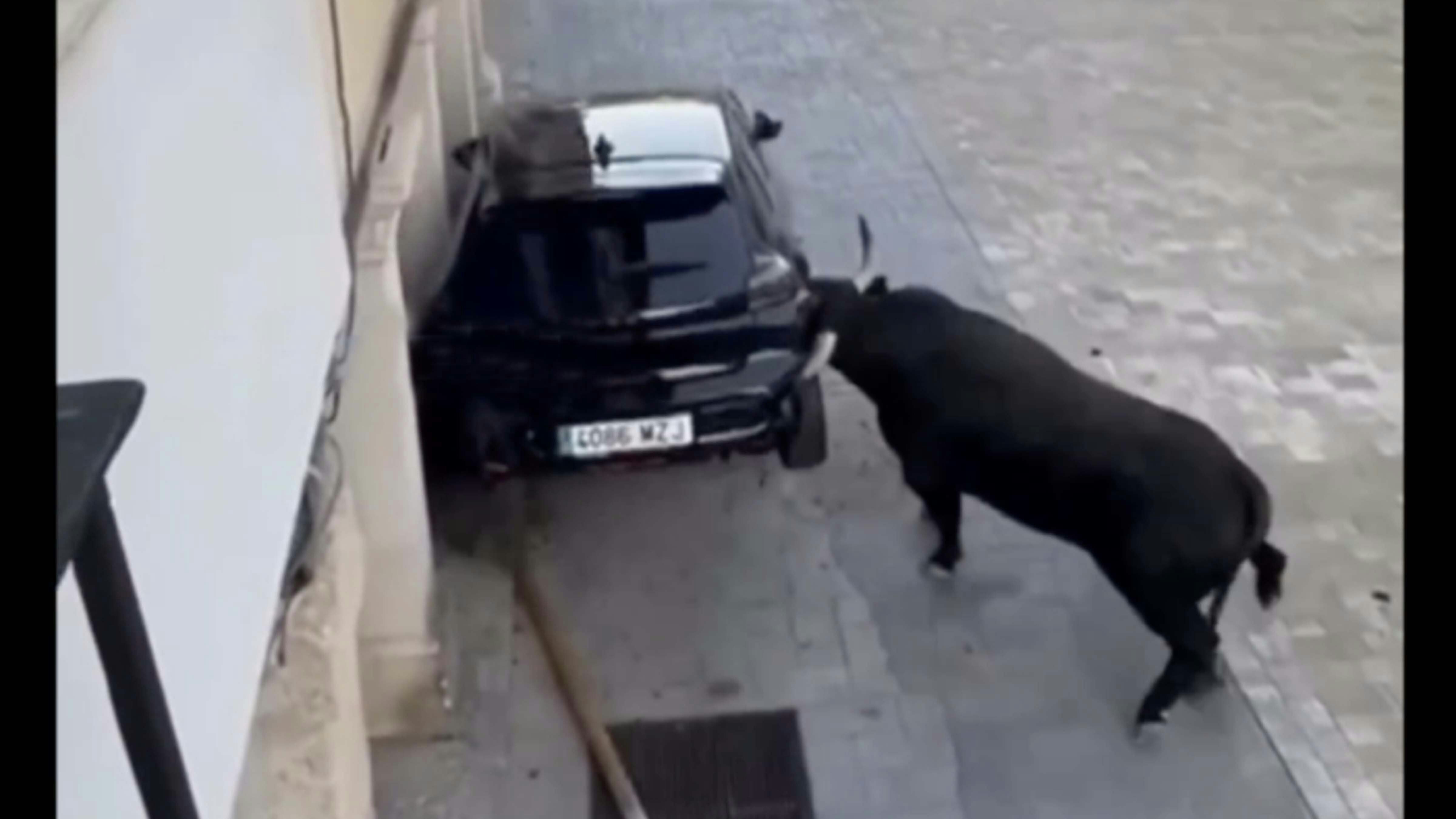 One more for 9 14 25