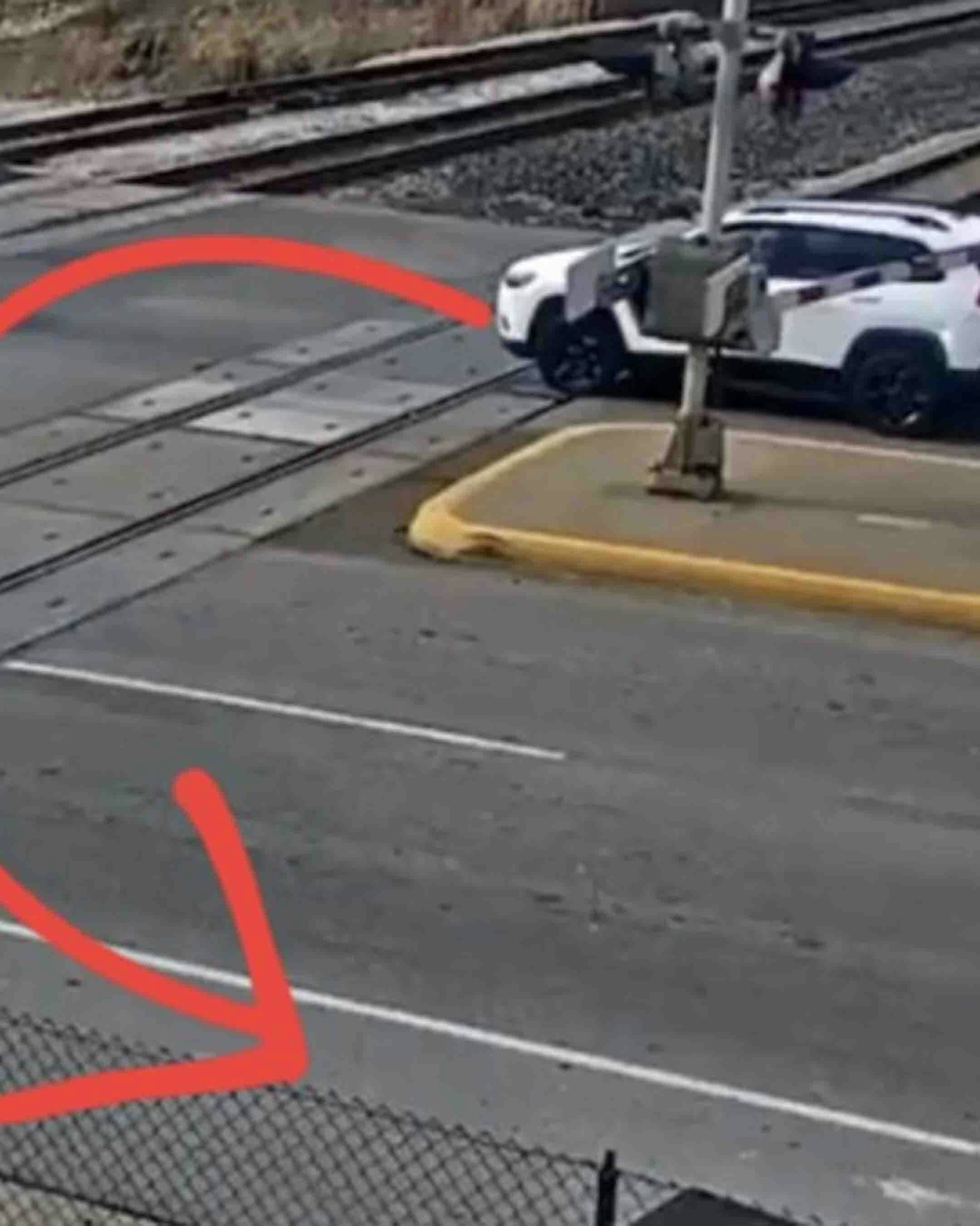 One more for no play 11 29 25