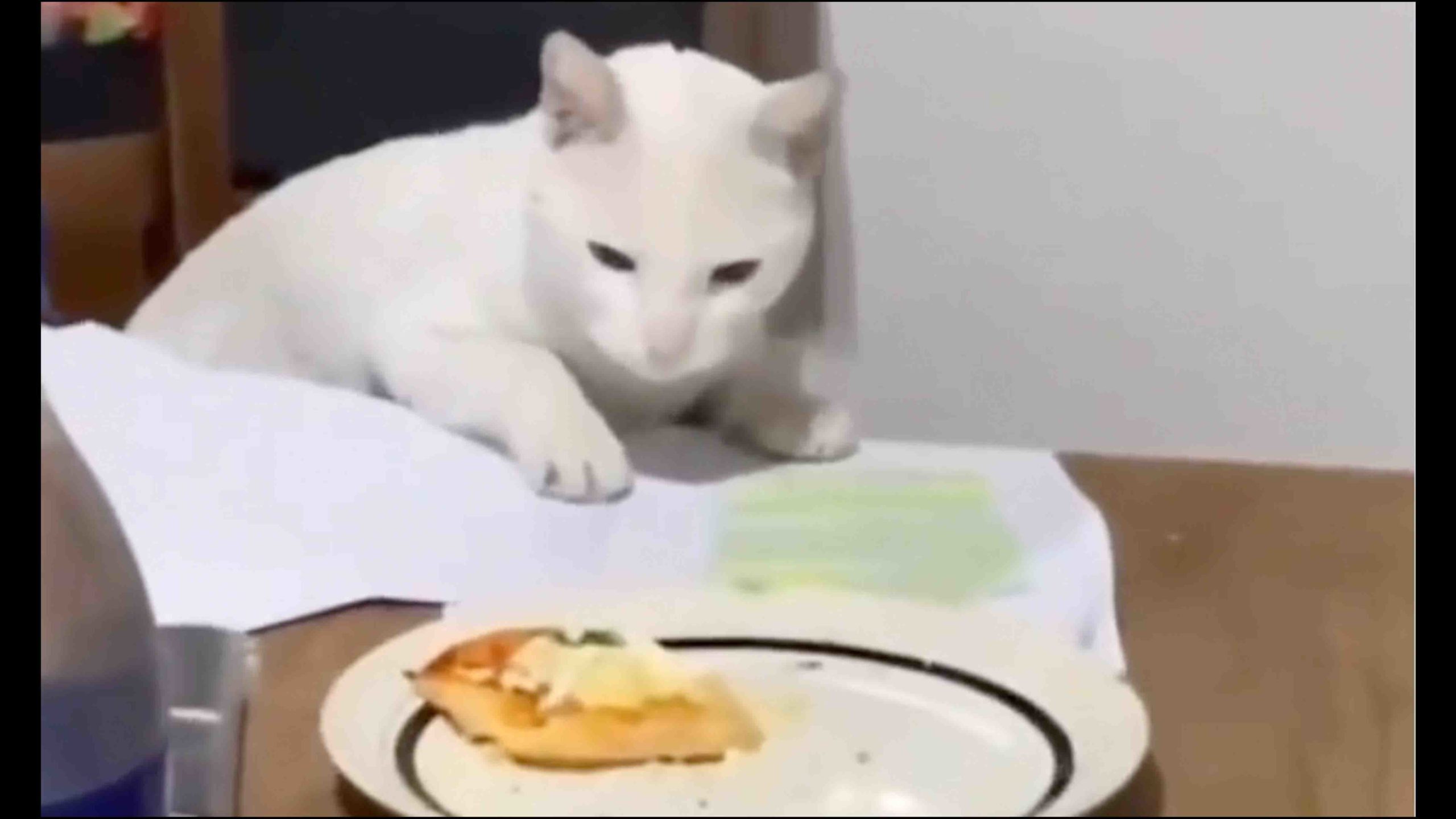 One more for no play 11 9 22 scaled