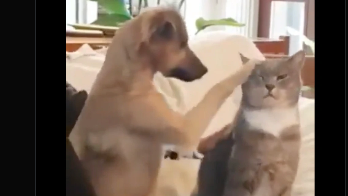 One more for no play 12 1 22