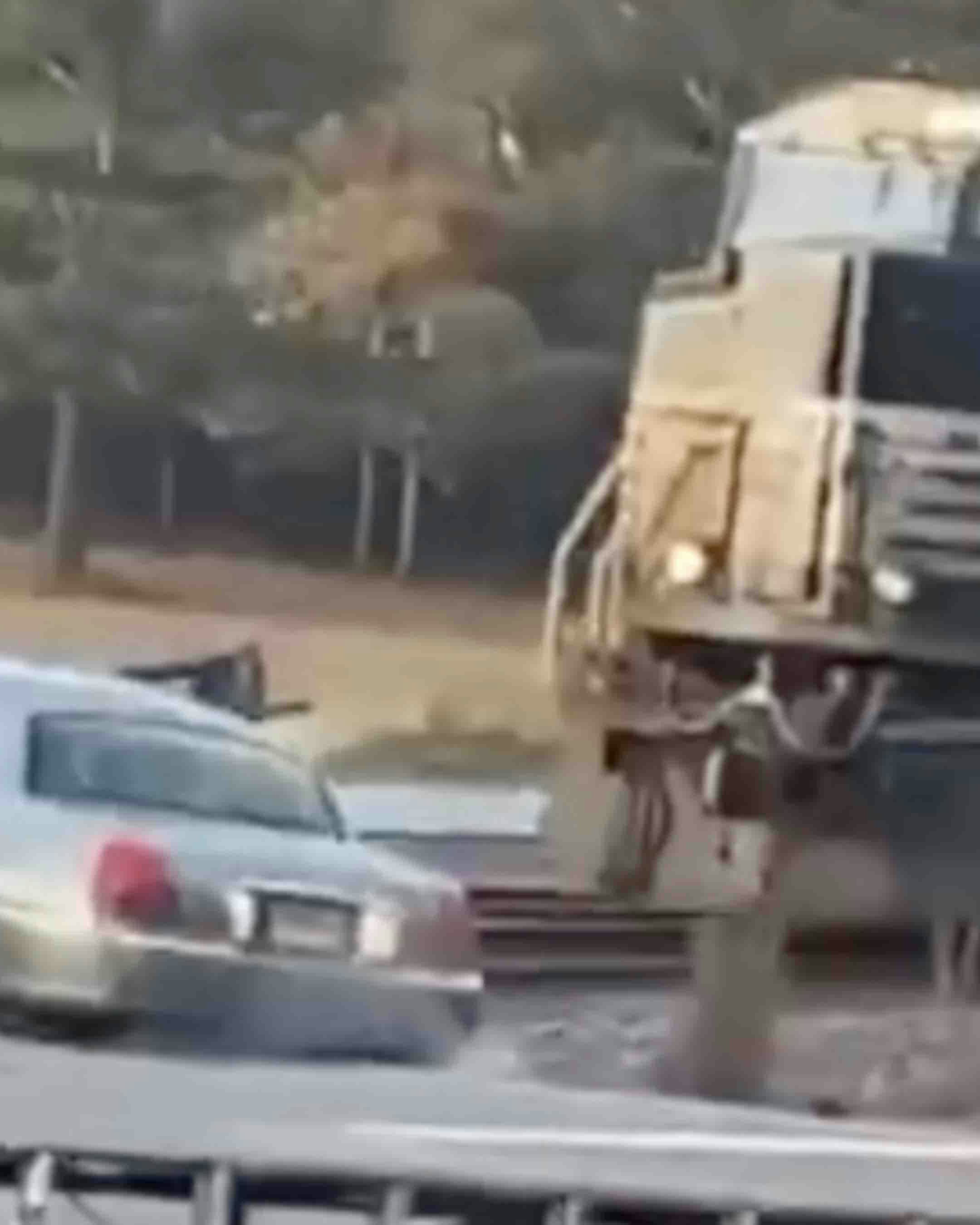 One more for no play 2 7 26