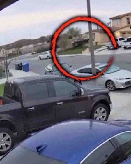 One more for no play 4 17 24