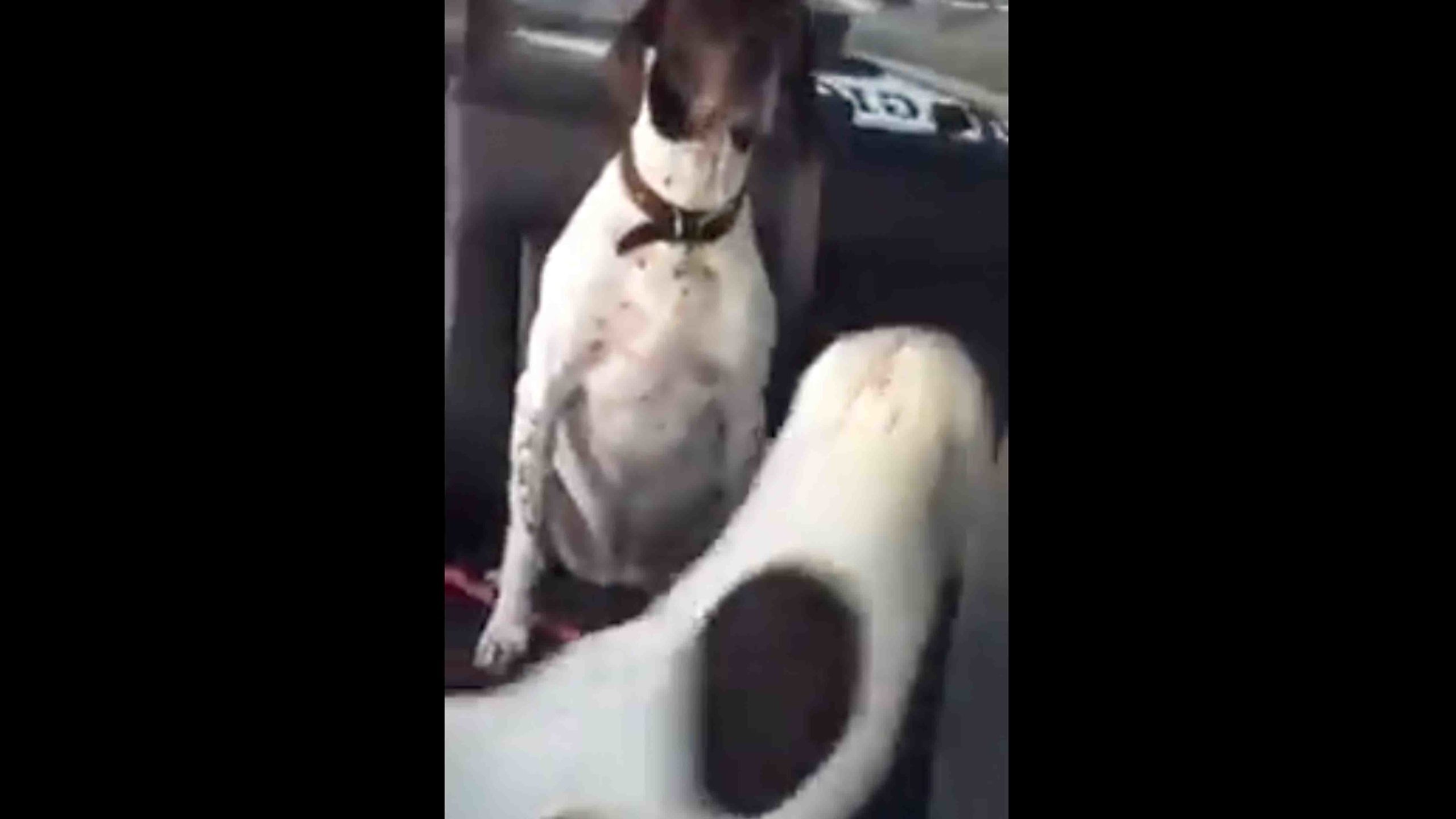 One more for r no play 11 10 22 scaled