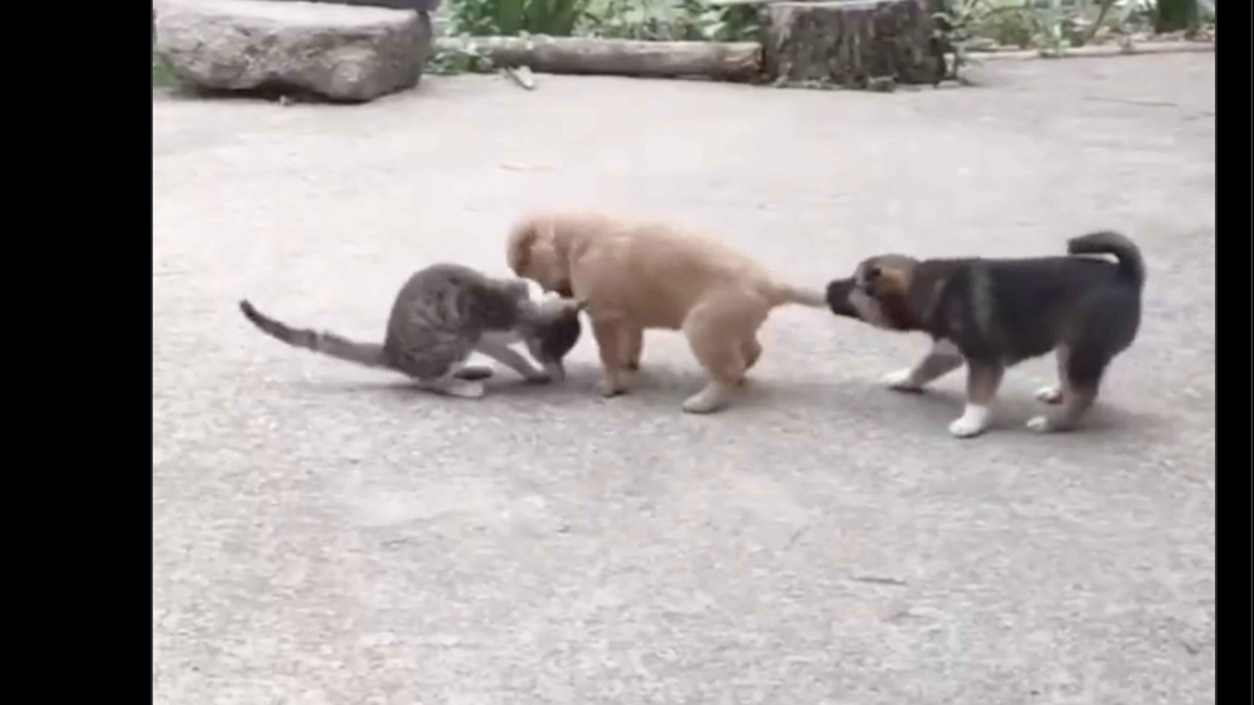 One more for road no play 10 7 22 scaled