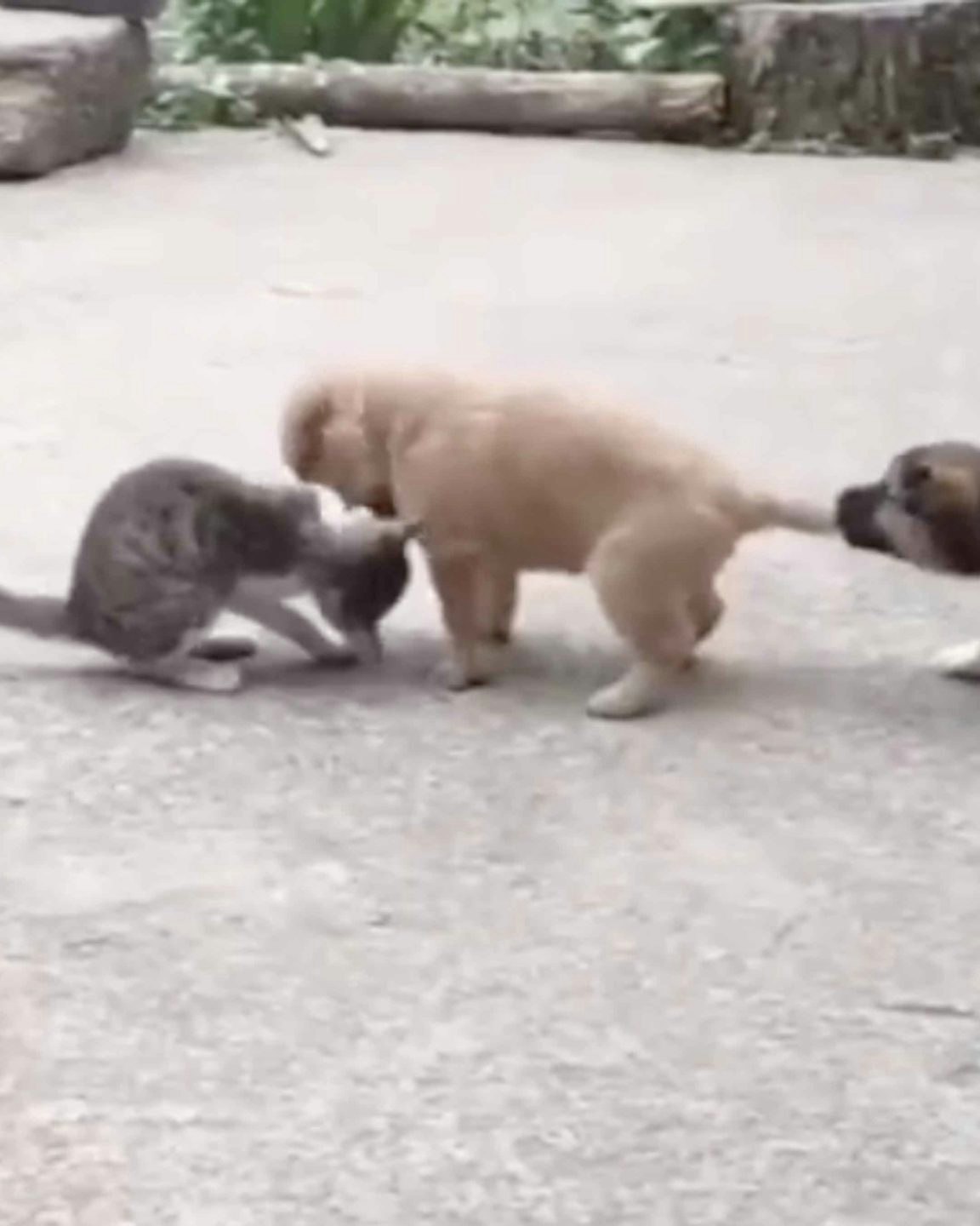 One more for road no play 10 7 22 scaled